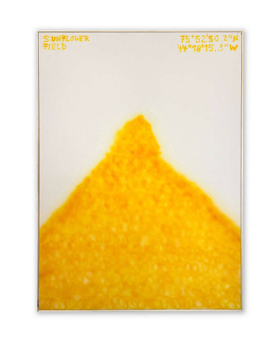 227 I 6 I 2 - Lukas Rosen 1