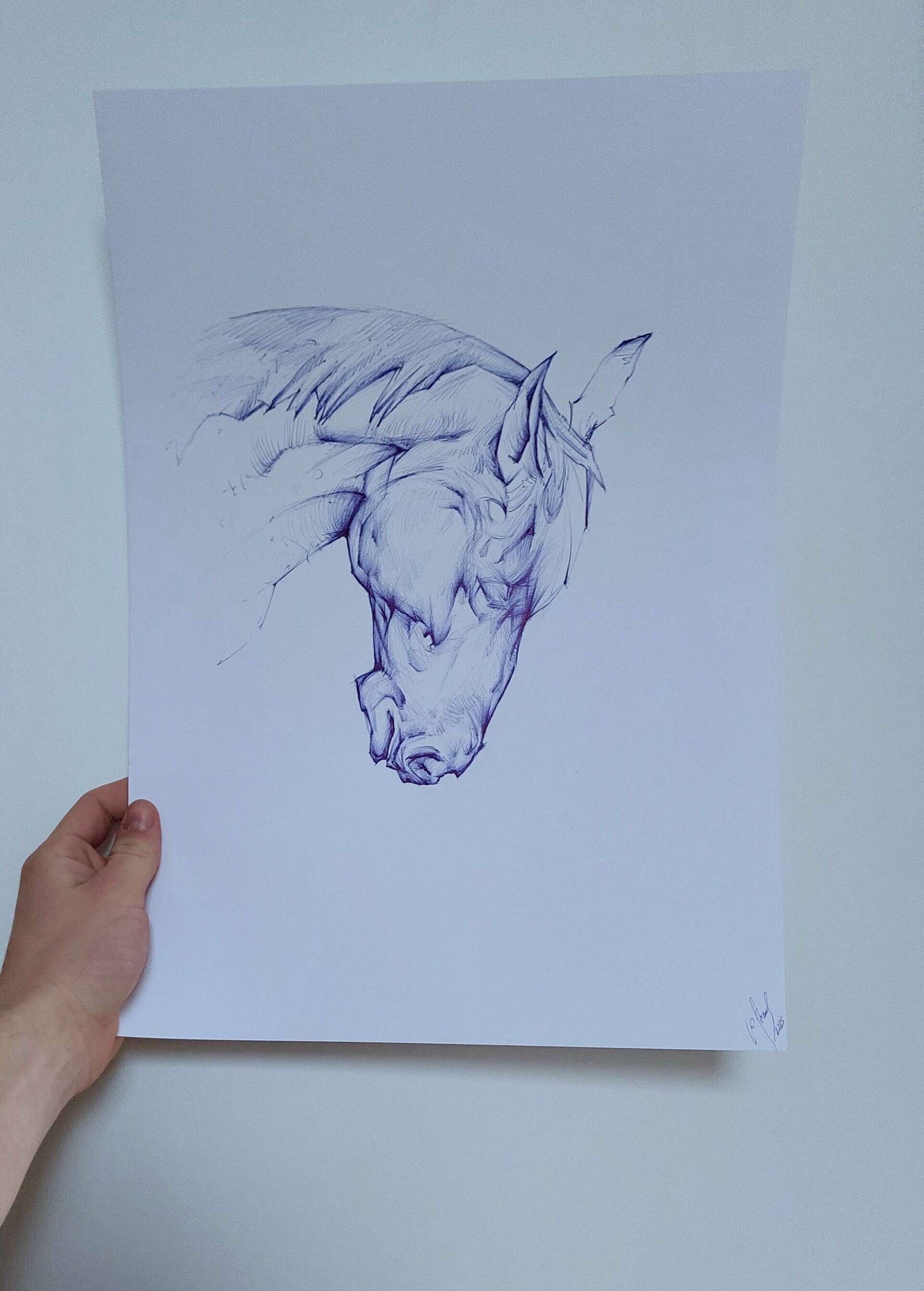 Pferdekopf - Alexander Straub 1