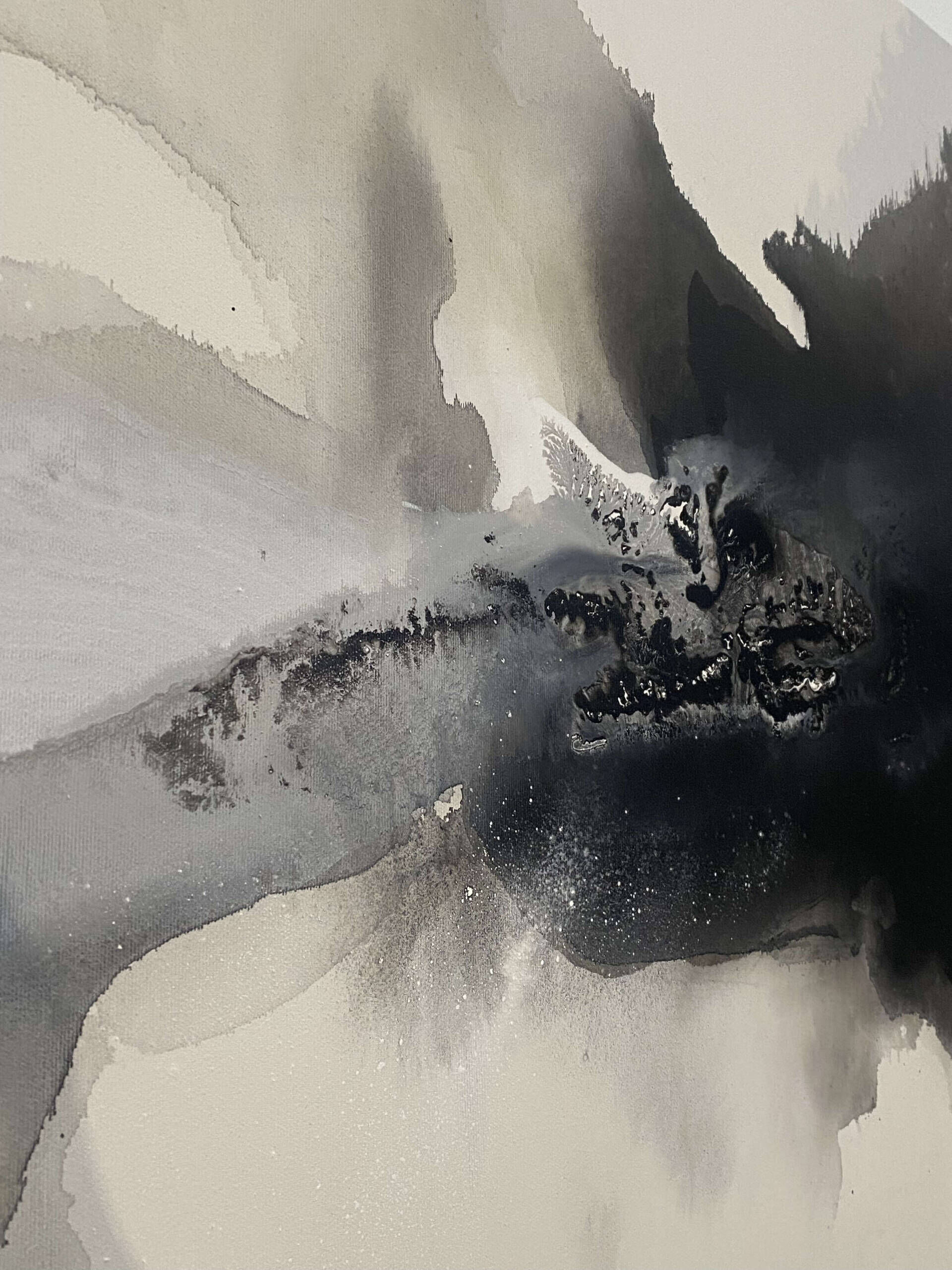 Flora Obscura - Franca Plohr 5