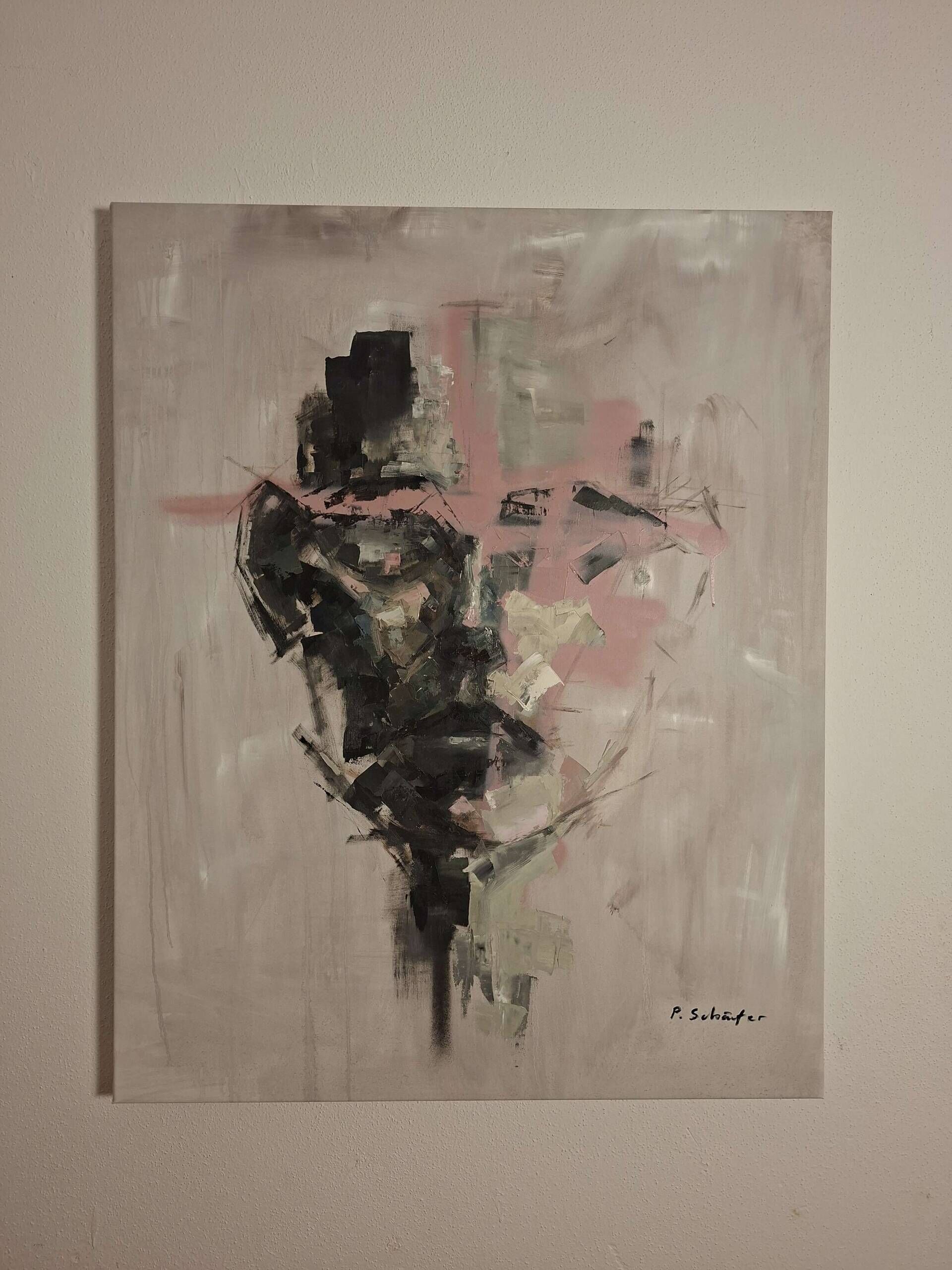 X301 - Paul Schäfer 2