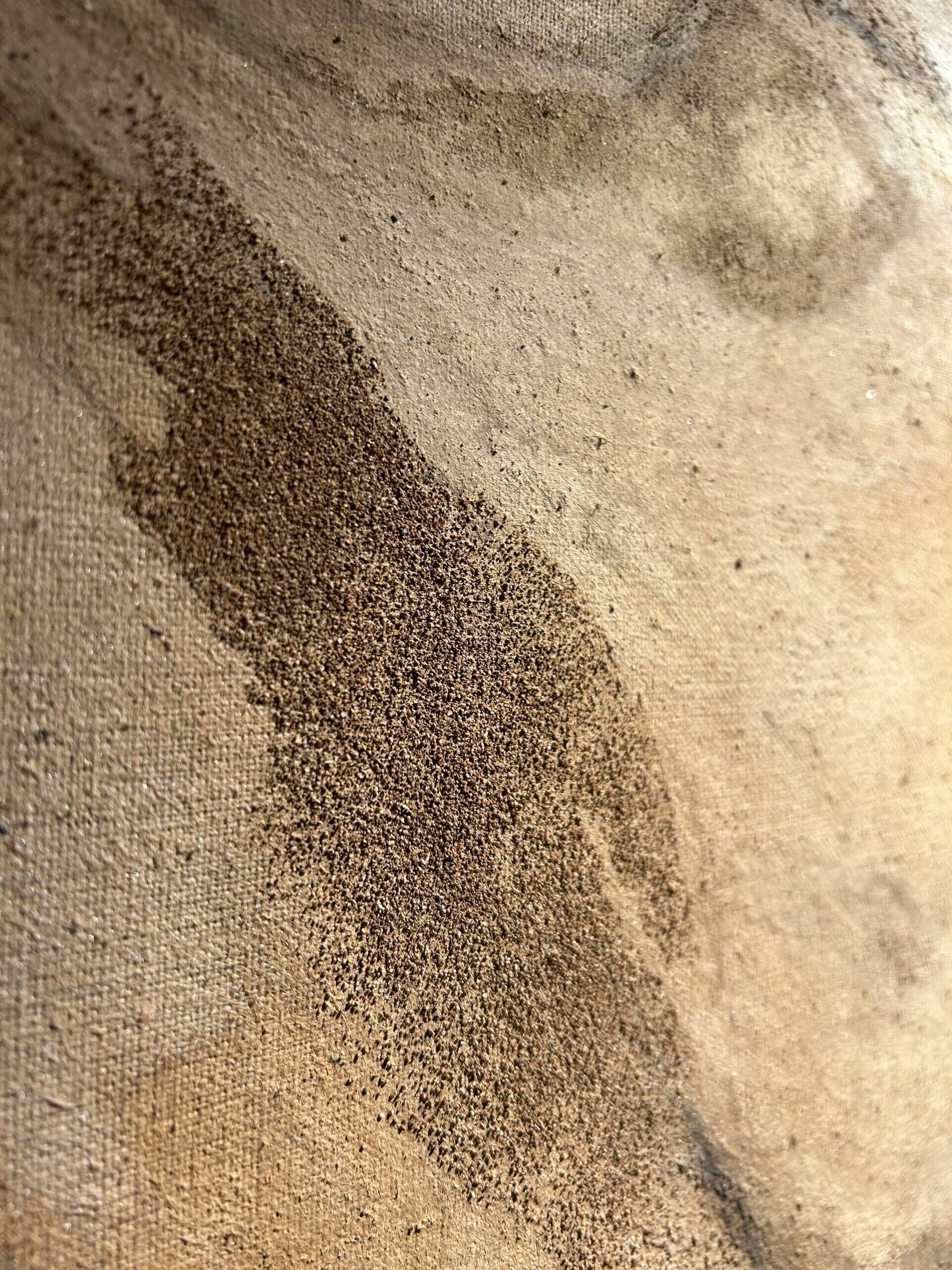 Tender  - laura sherin 3