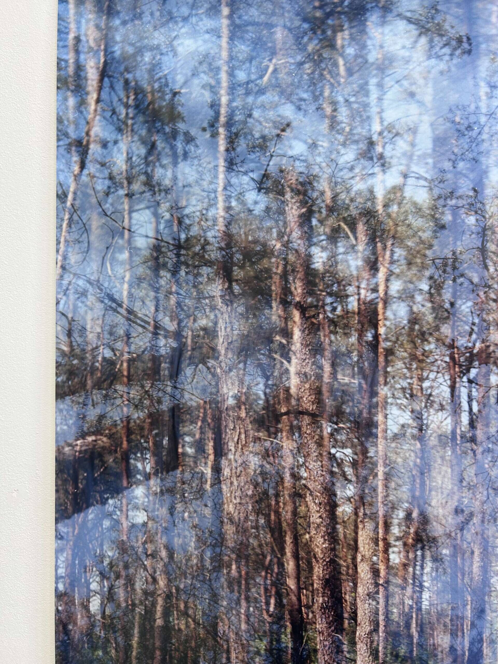 Wunderwald 2.0 - Luise Oswald 6