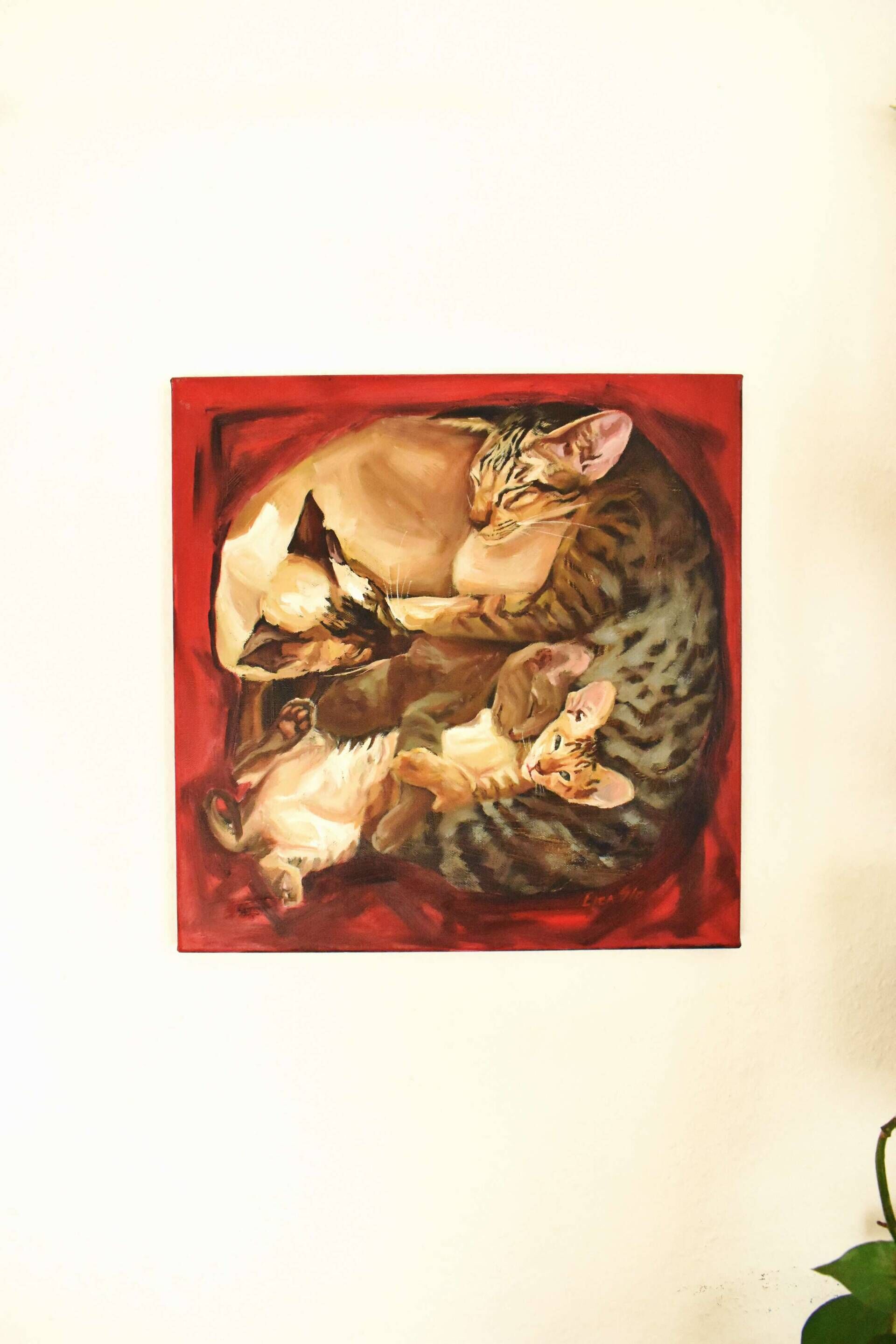 Red Cat Square  - Elza Slo 1