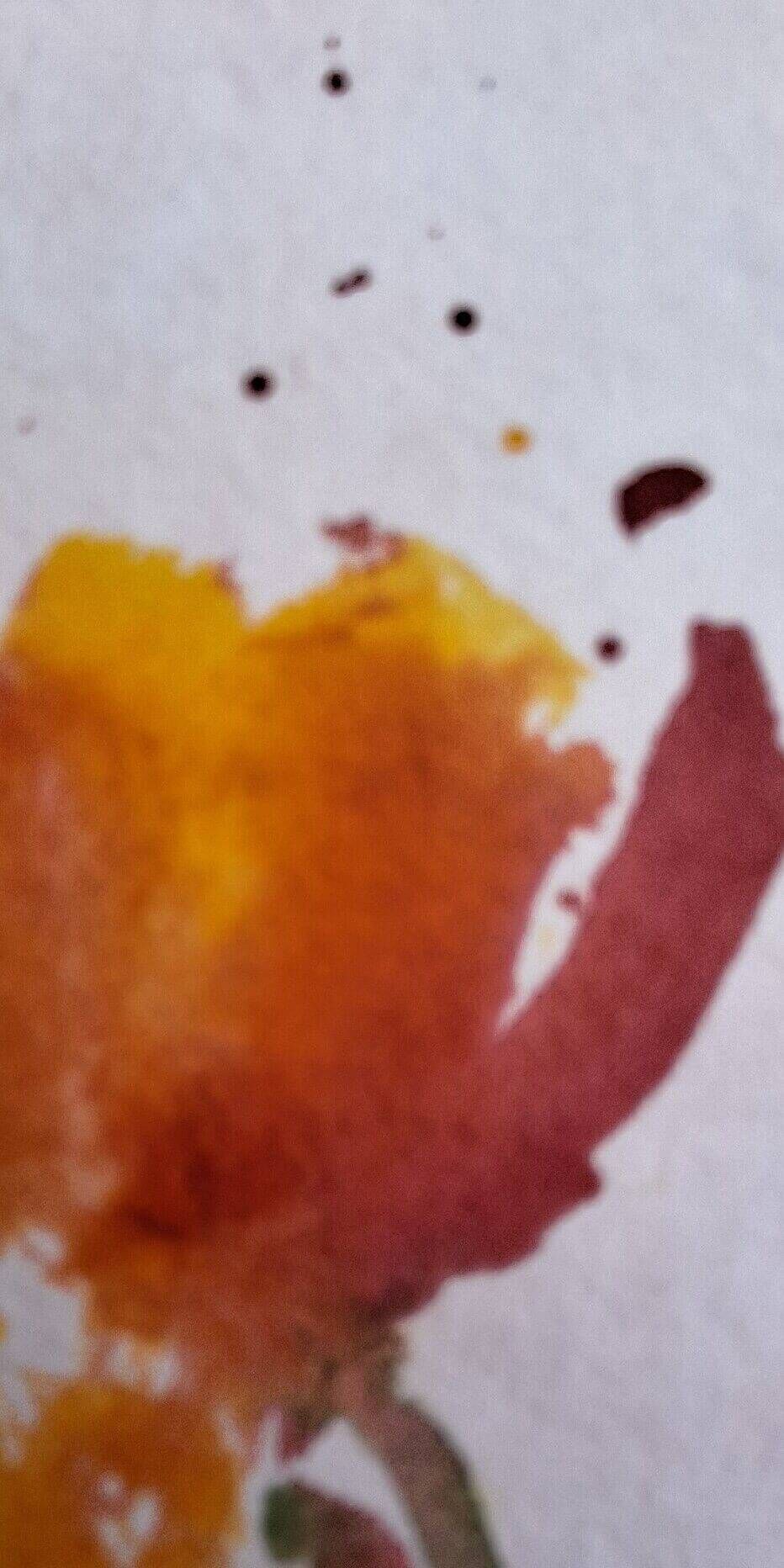 Spring Study - Sara Wimmers 1