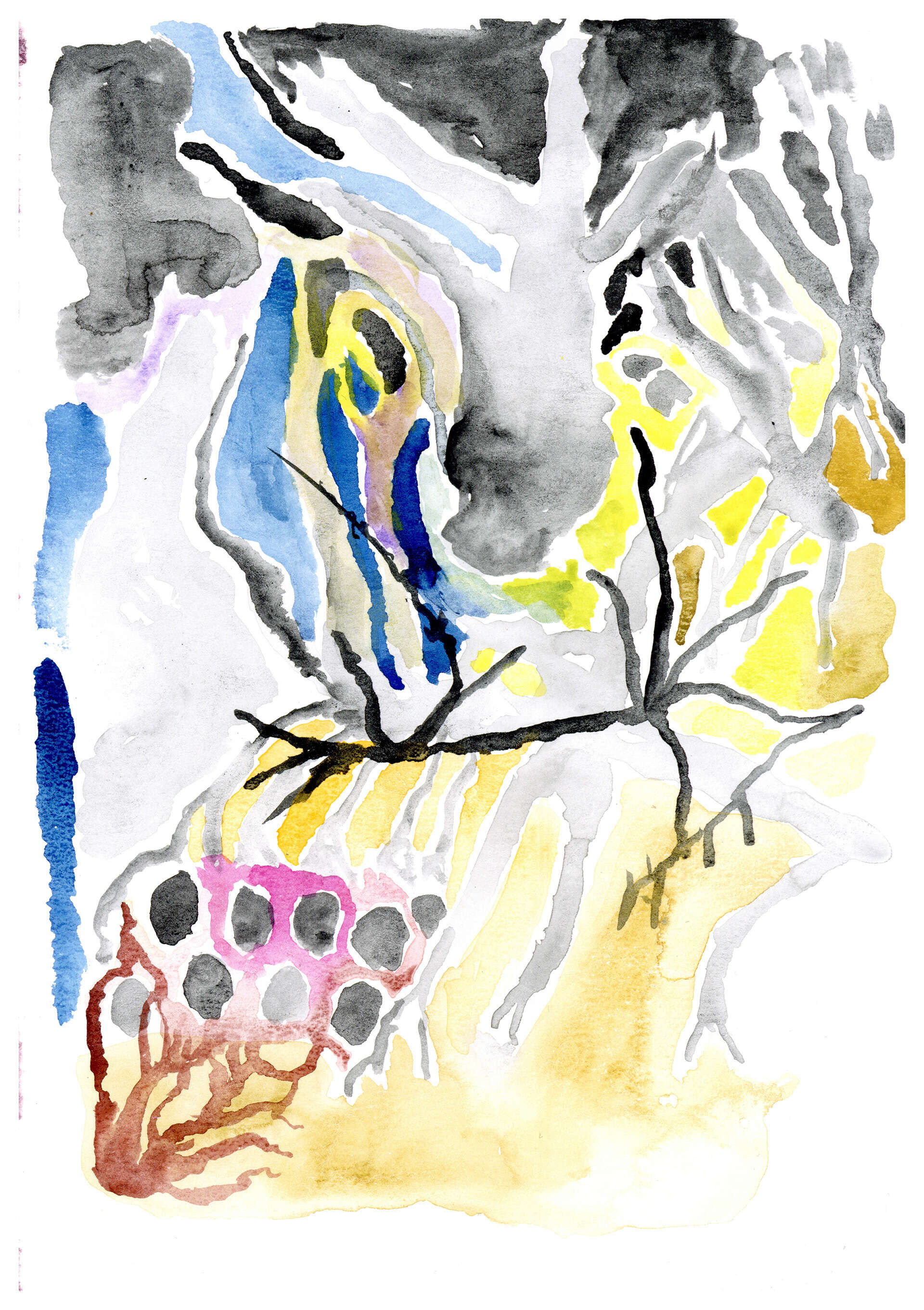 Study No. 4 - Mahmoud Ismail 1