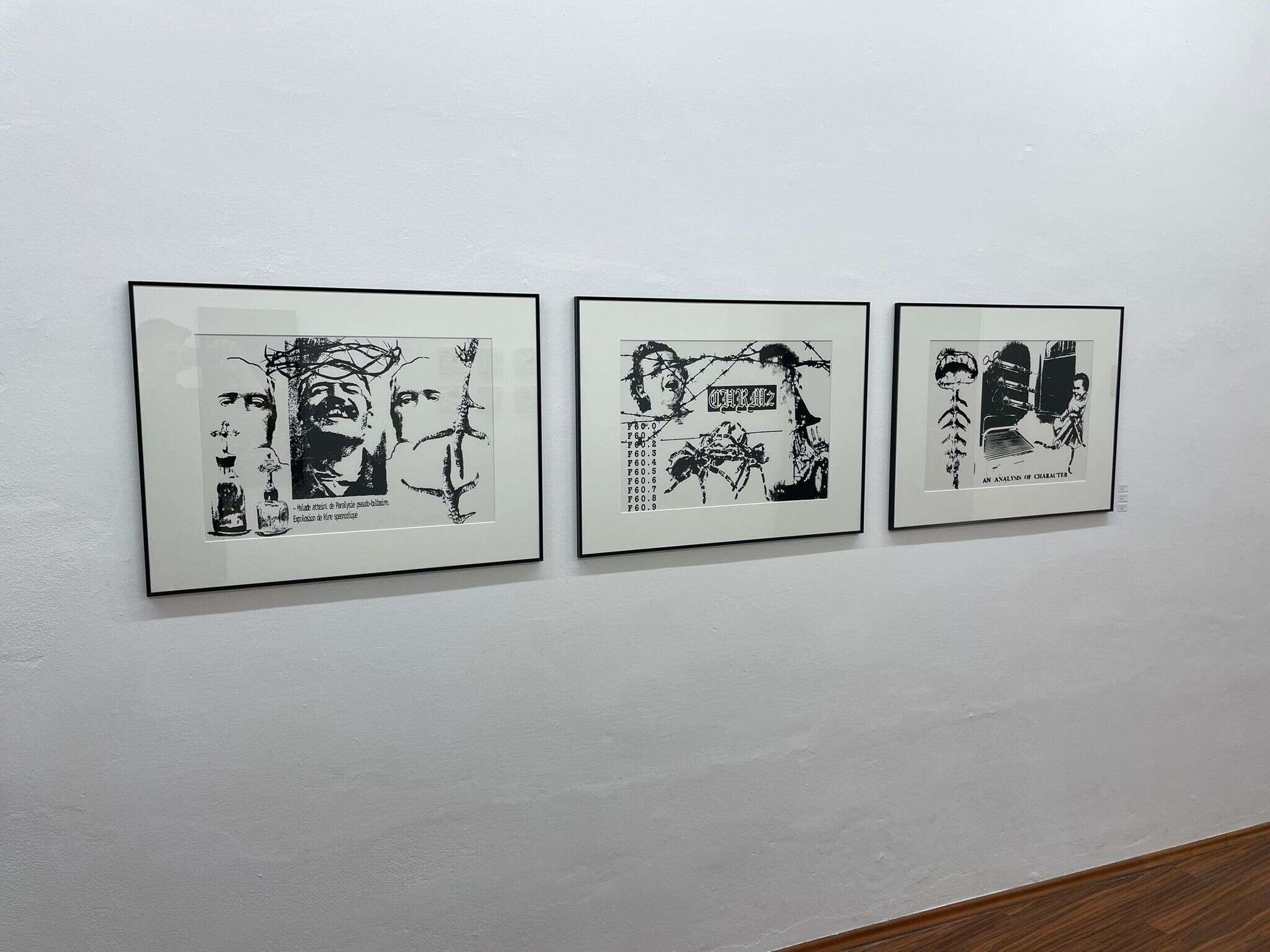 2034108 III - Cinzia  Villa 2