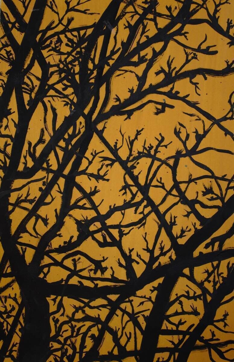 The Mystical of the Forest 6