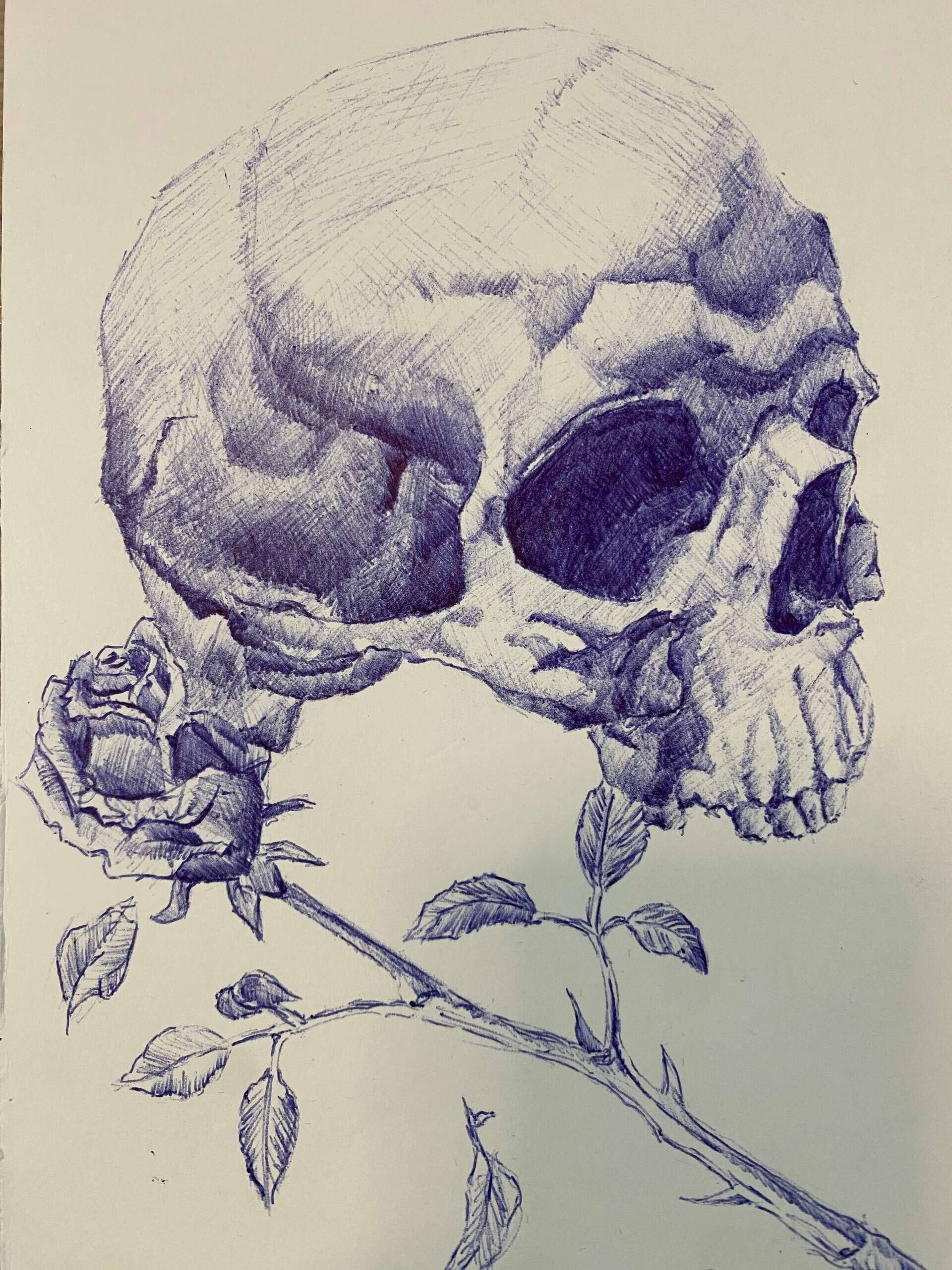 Skull with Rose - Paul Schäfer 1