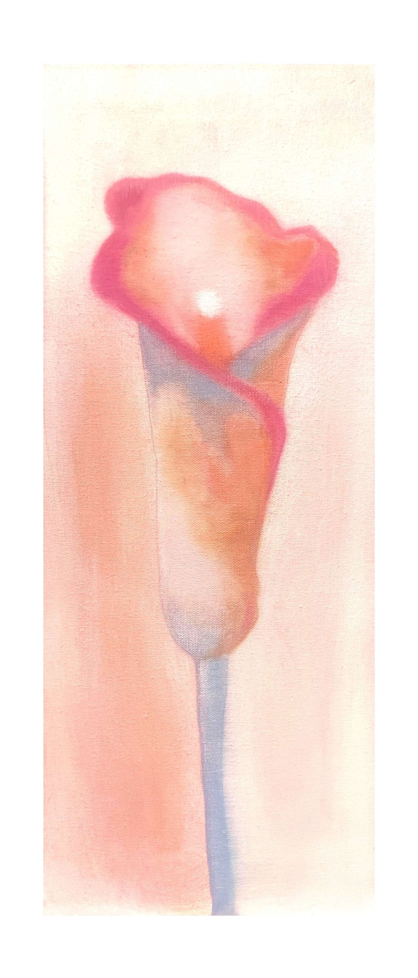 Calla - Maria  Krause 2