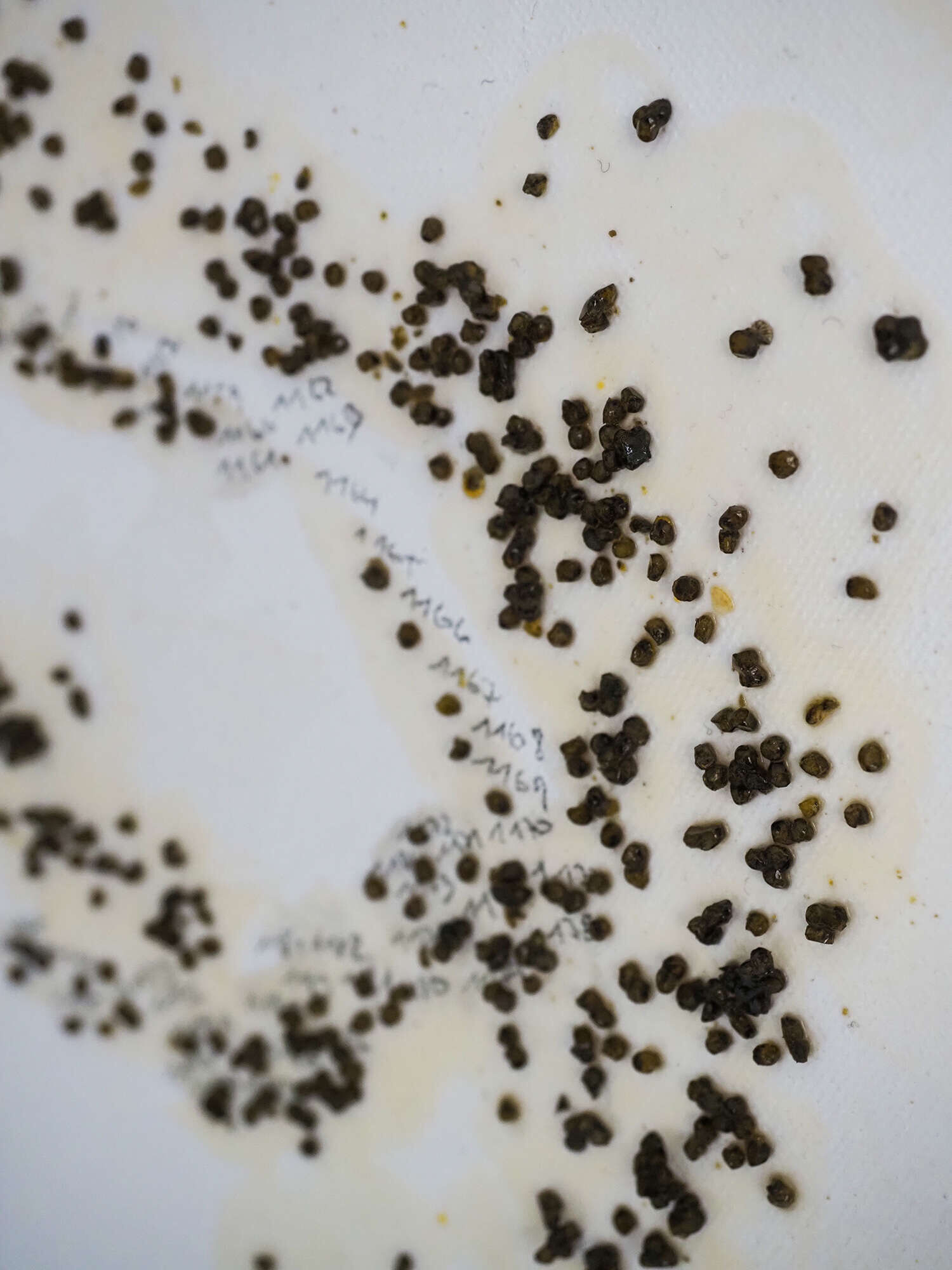 Auftragsarbeit - Was bleibt, wenn es still wird. - Vicky Anna Lardschneider 5