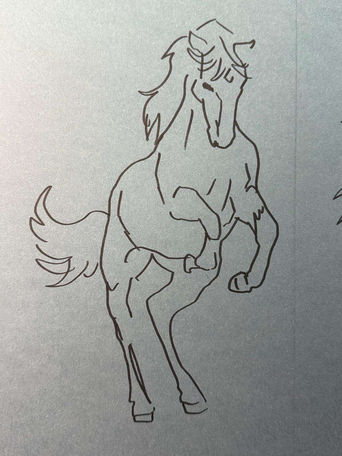 Horses - Laura Küpper 2