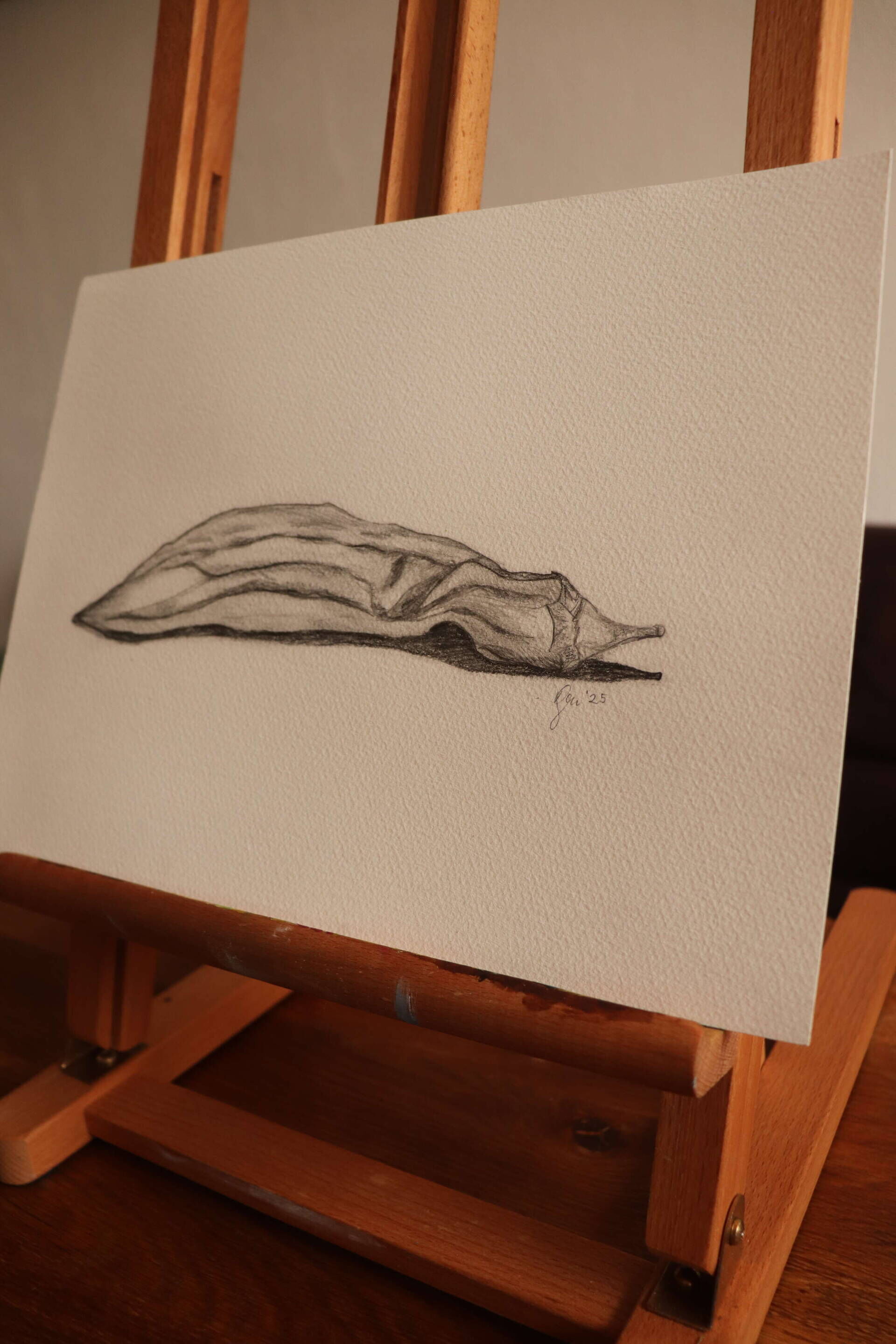 Hingelegt - Karolina Schymura 5