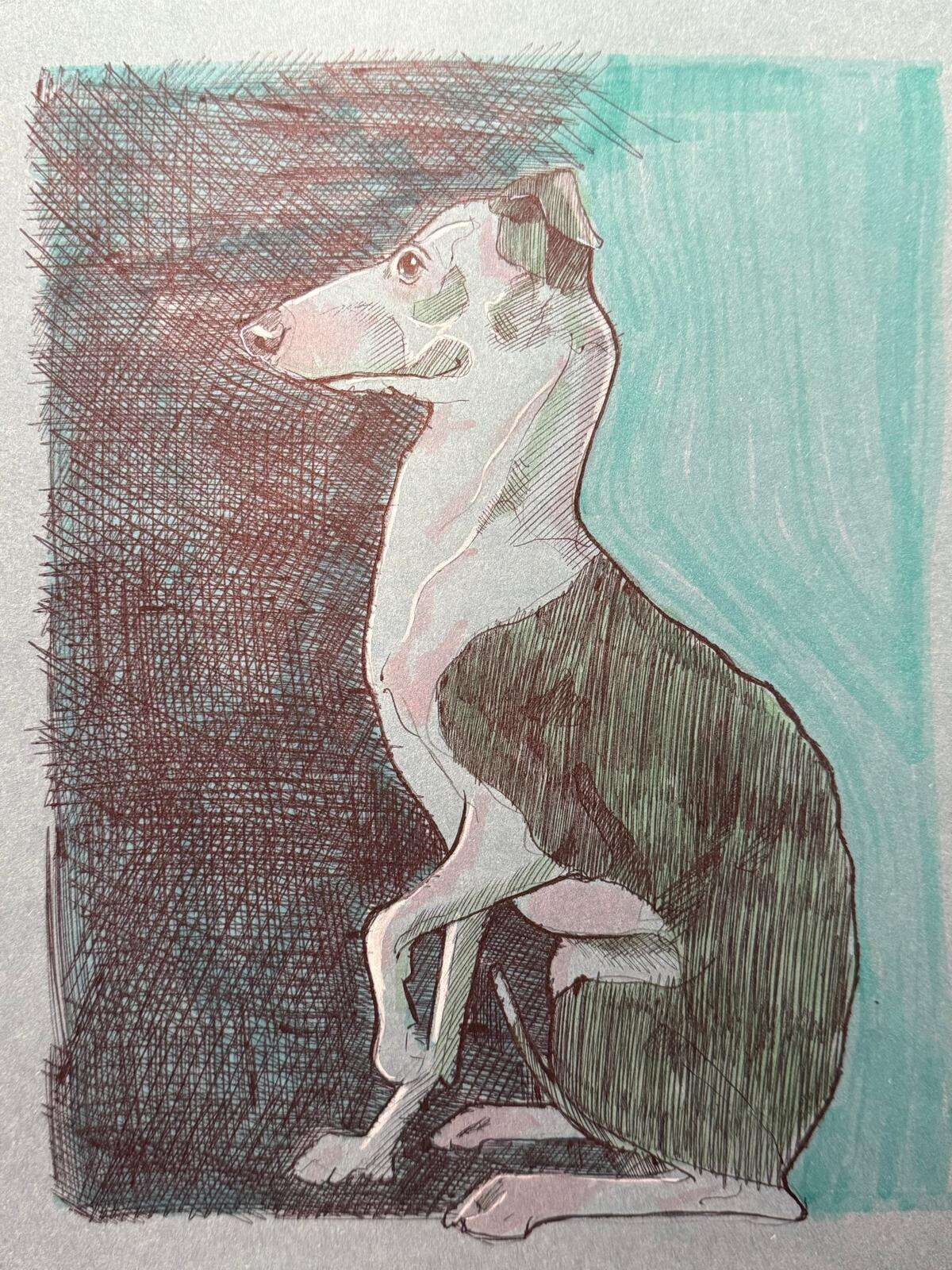 The Sock - Laura Küpper 2