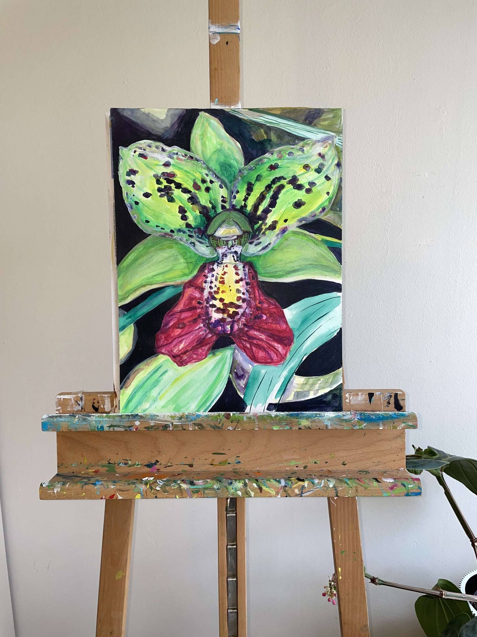 Orchidee „Cymbidiella pardalina“ - Delja Wilfert 2