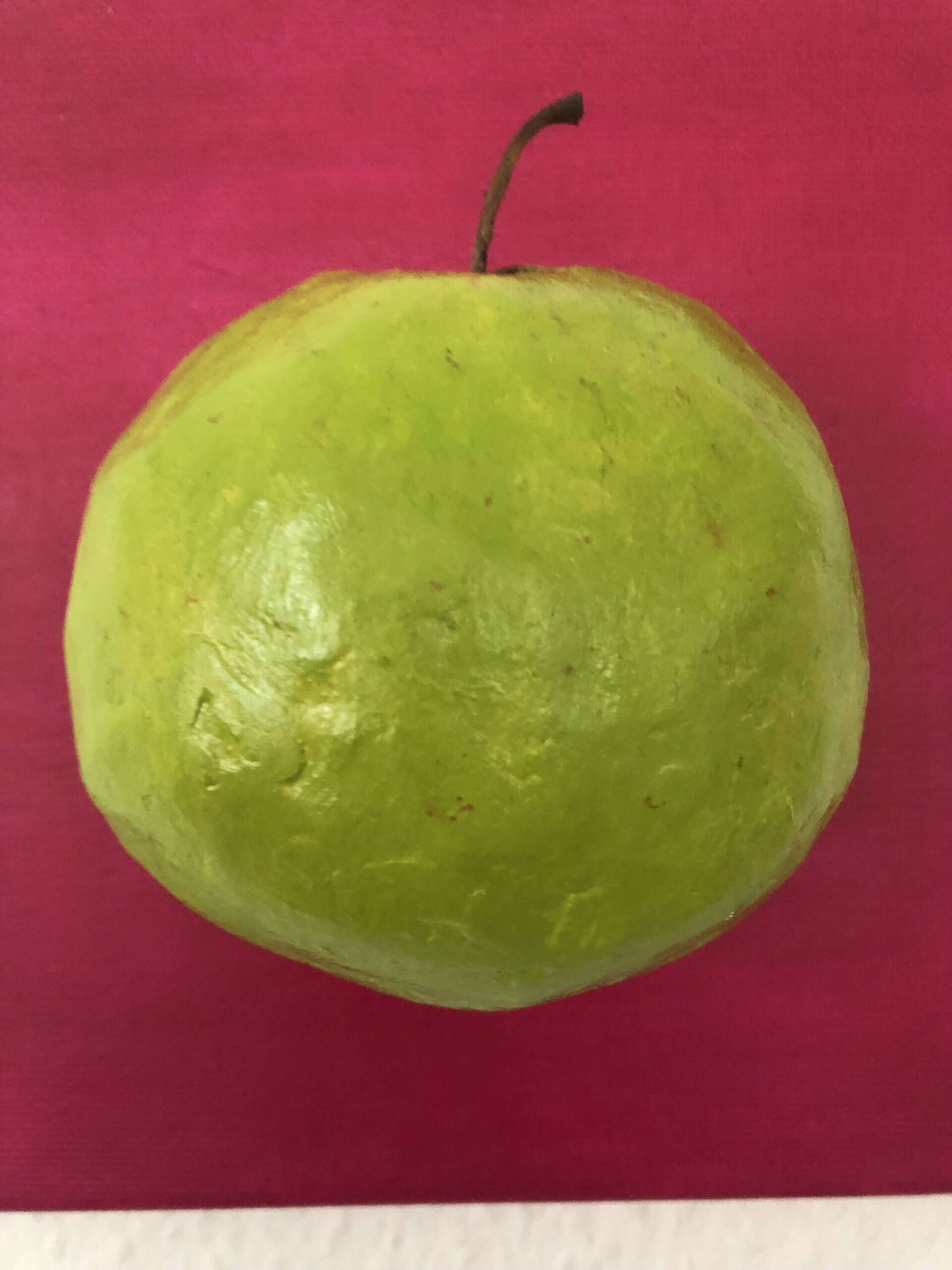 Notanapple - DAMIAN 4