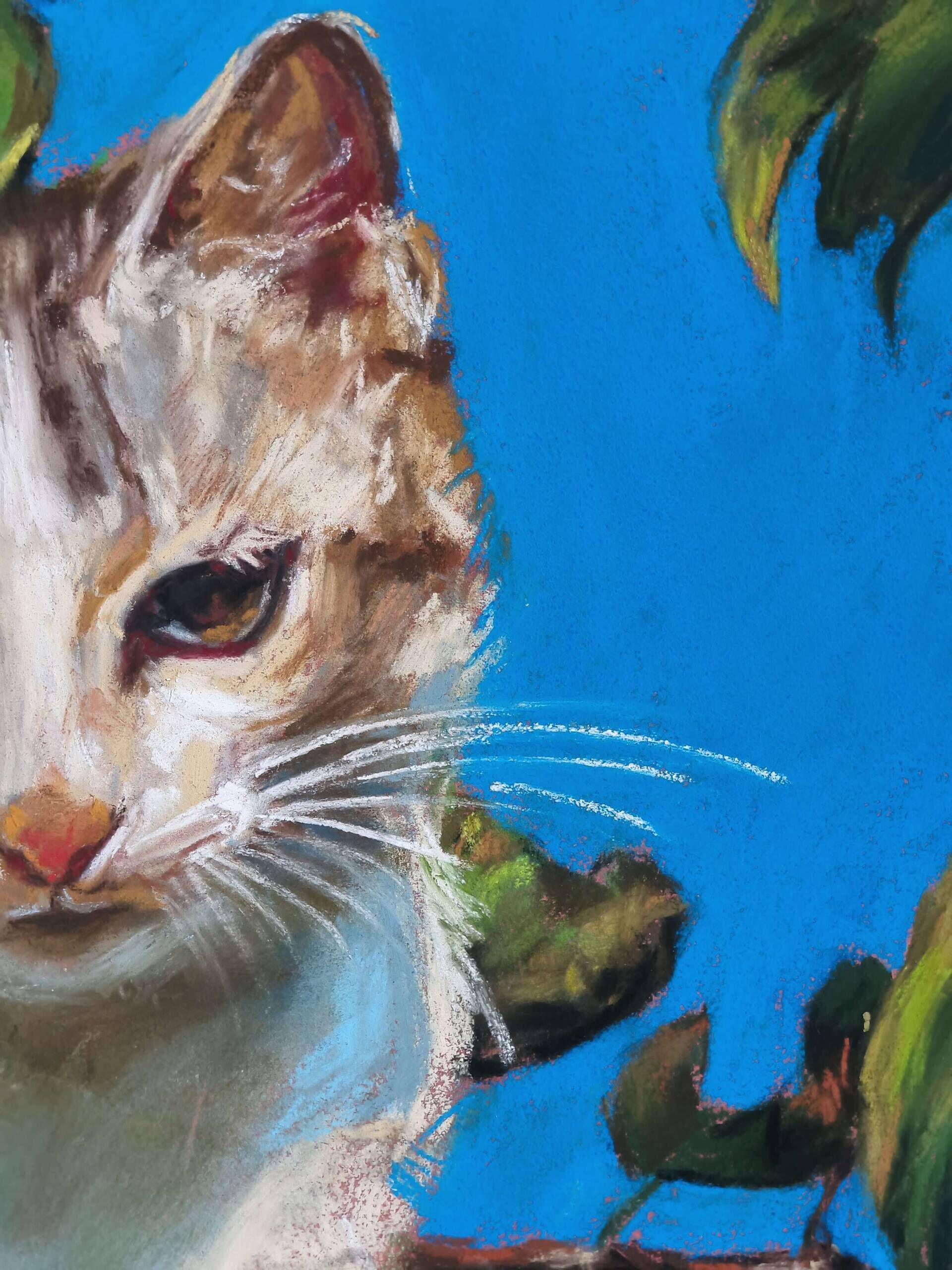 Magic cat - Elza Slo 3