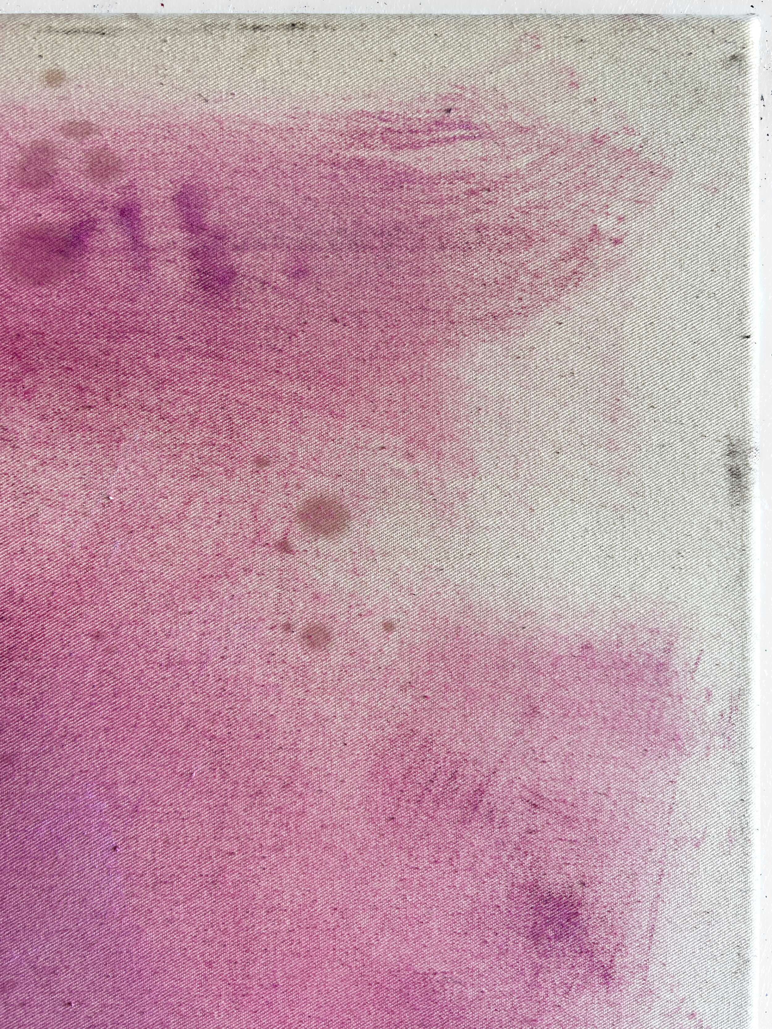 Blush Rosé - Lenny Renz 1