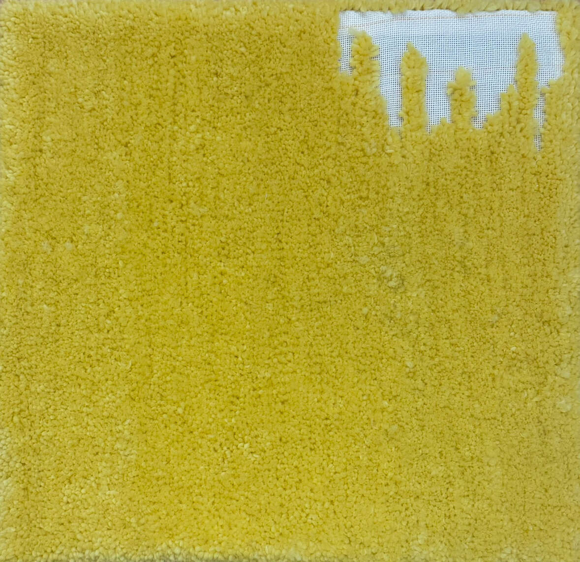 Gelb:) - Carmen Moreira 1