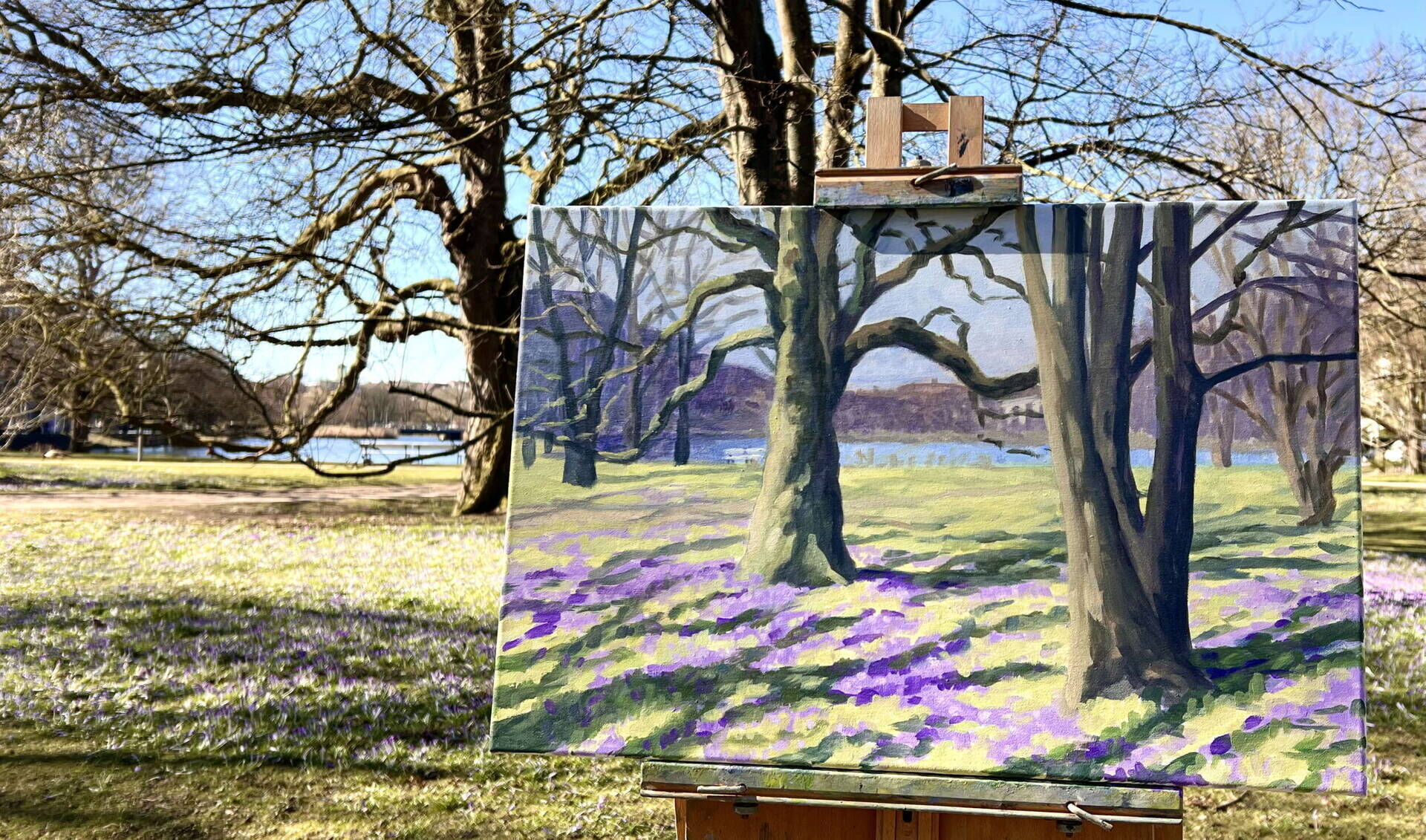 Krokusblüte im Ratsdienergarten (Kiel) - Janna Schnoor 5