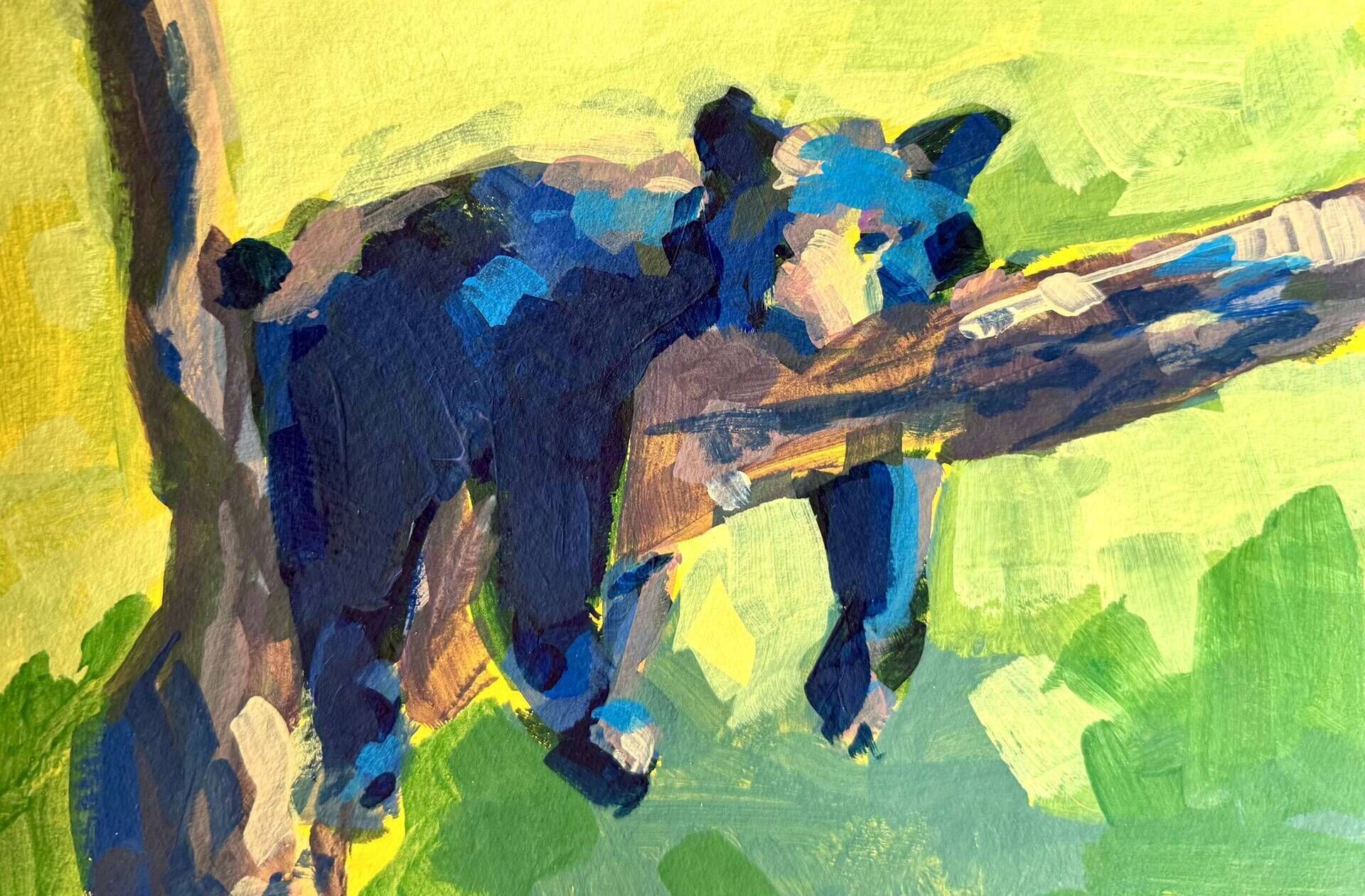 Bär, abhängend - Daniel Heimgärtner 1