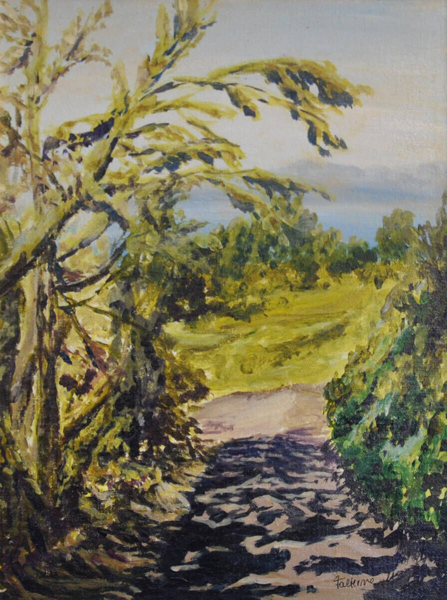 Weg zum See