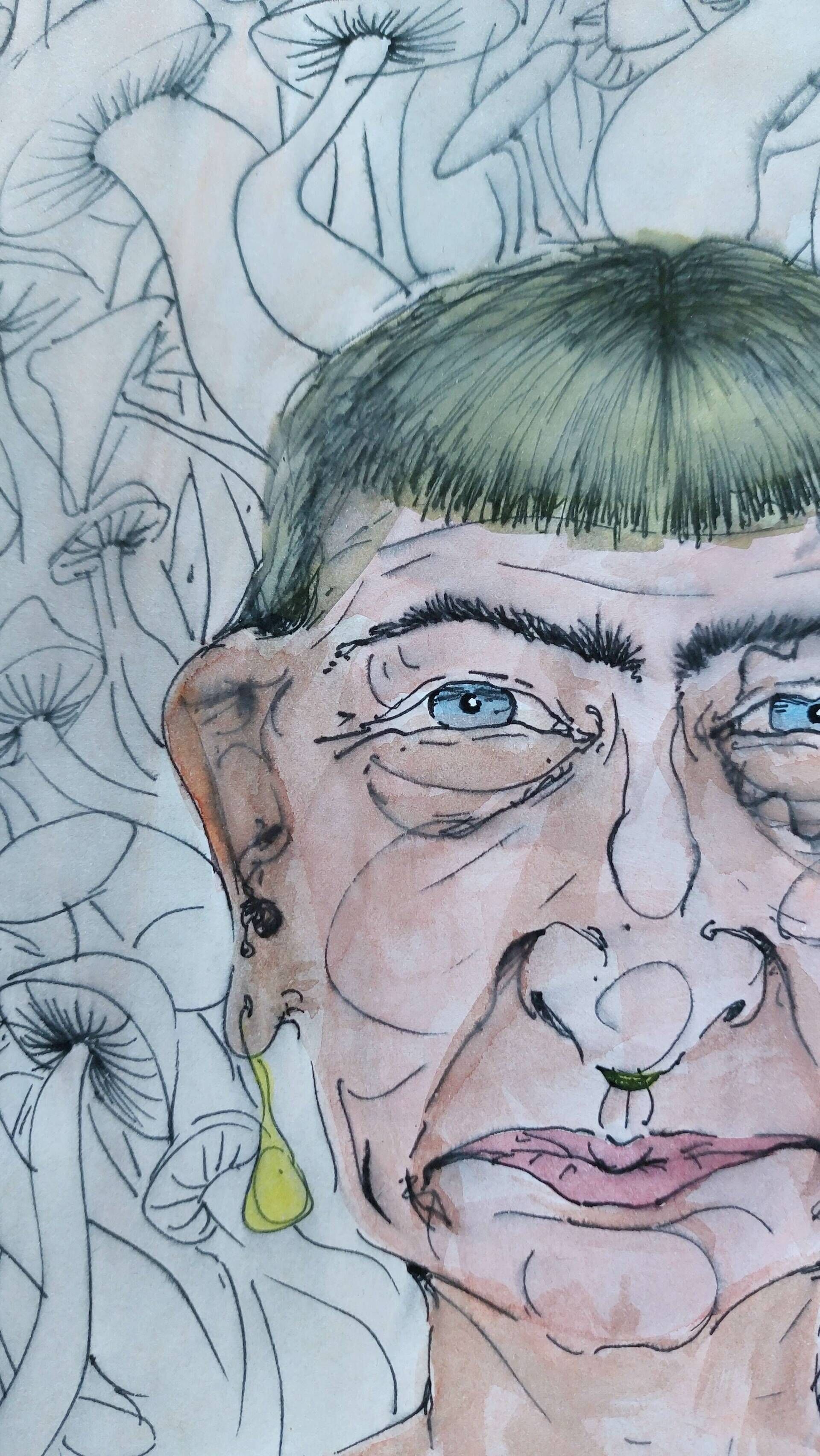 Pilze im Hintergrund  - Alexander Straub 6