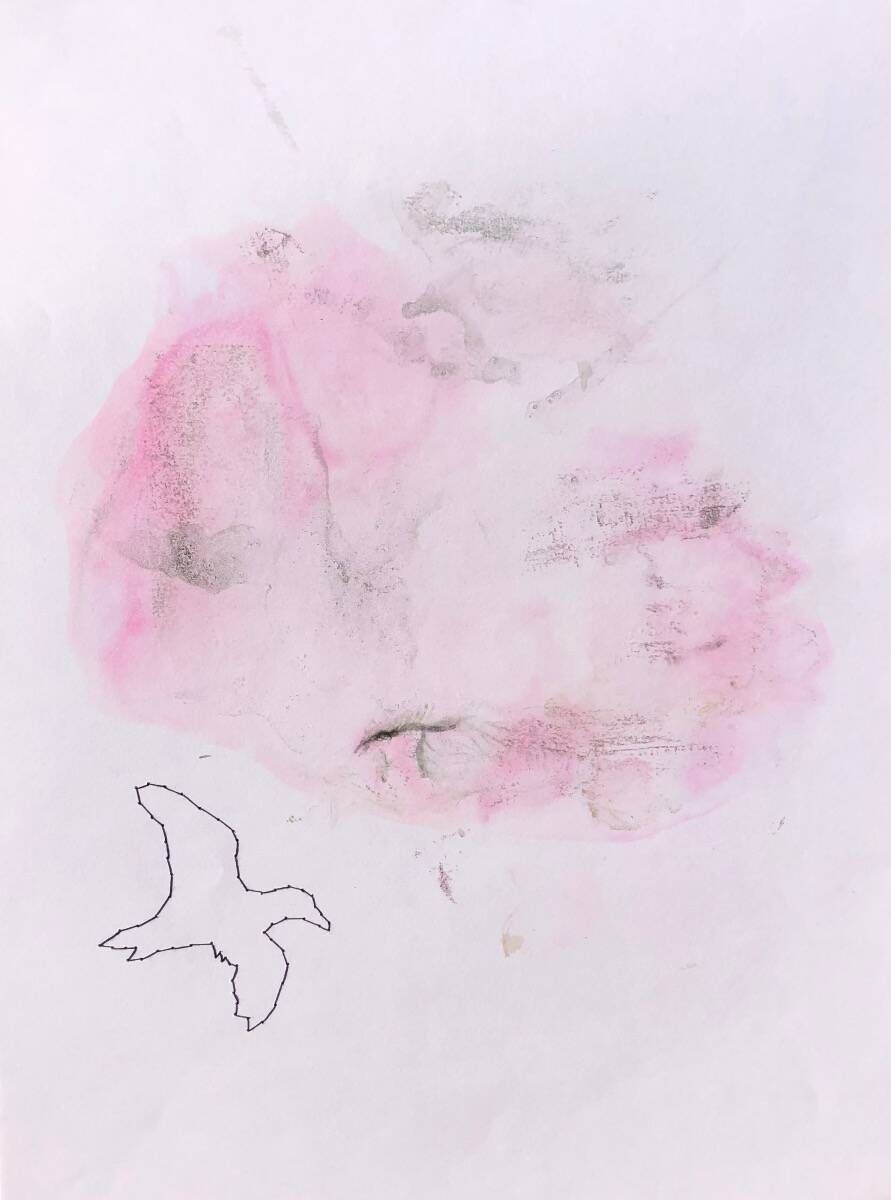 Birds 3