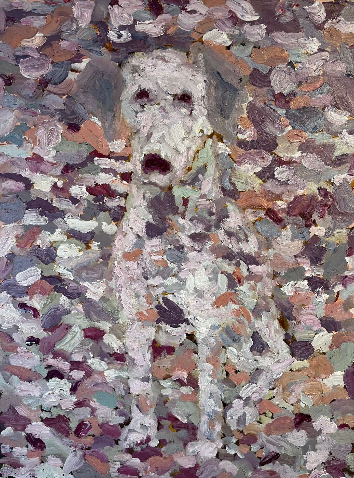 See me, if you can  - Anna Hopfensberger 1