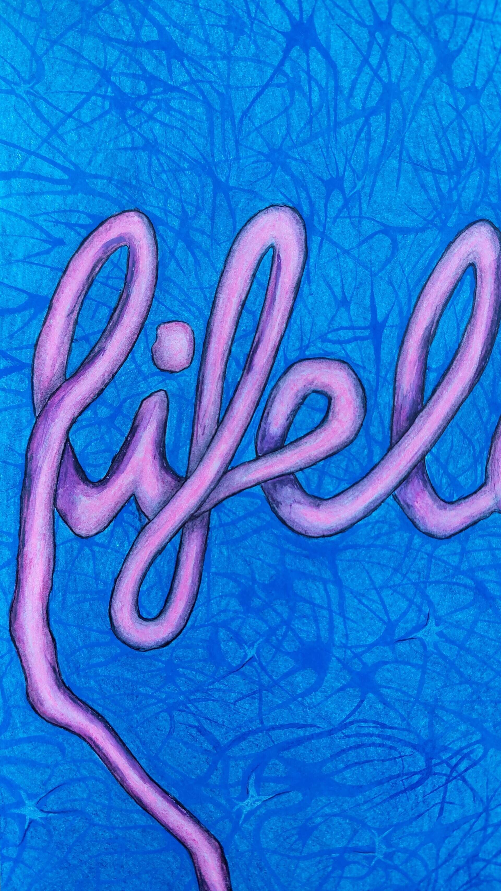 Lifelong learning - lebenslanges Lernen - Alexander Straub 8