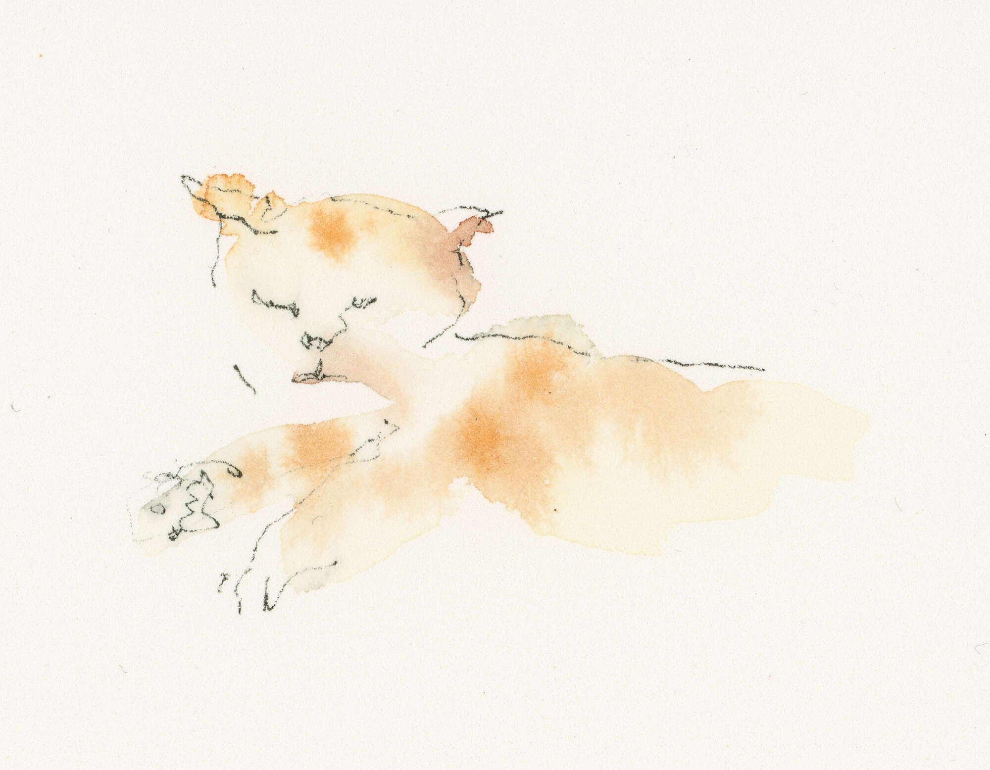 Kater inklusive - Lukas Häring 2
