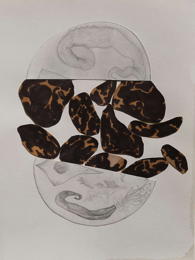 Untitled - Yulia Katan 1