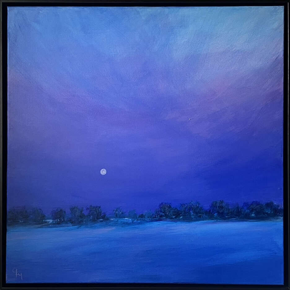 Unter dem letzten Licht - Melissa Faltermeier 1