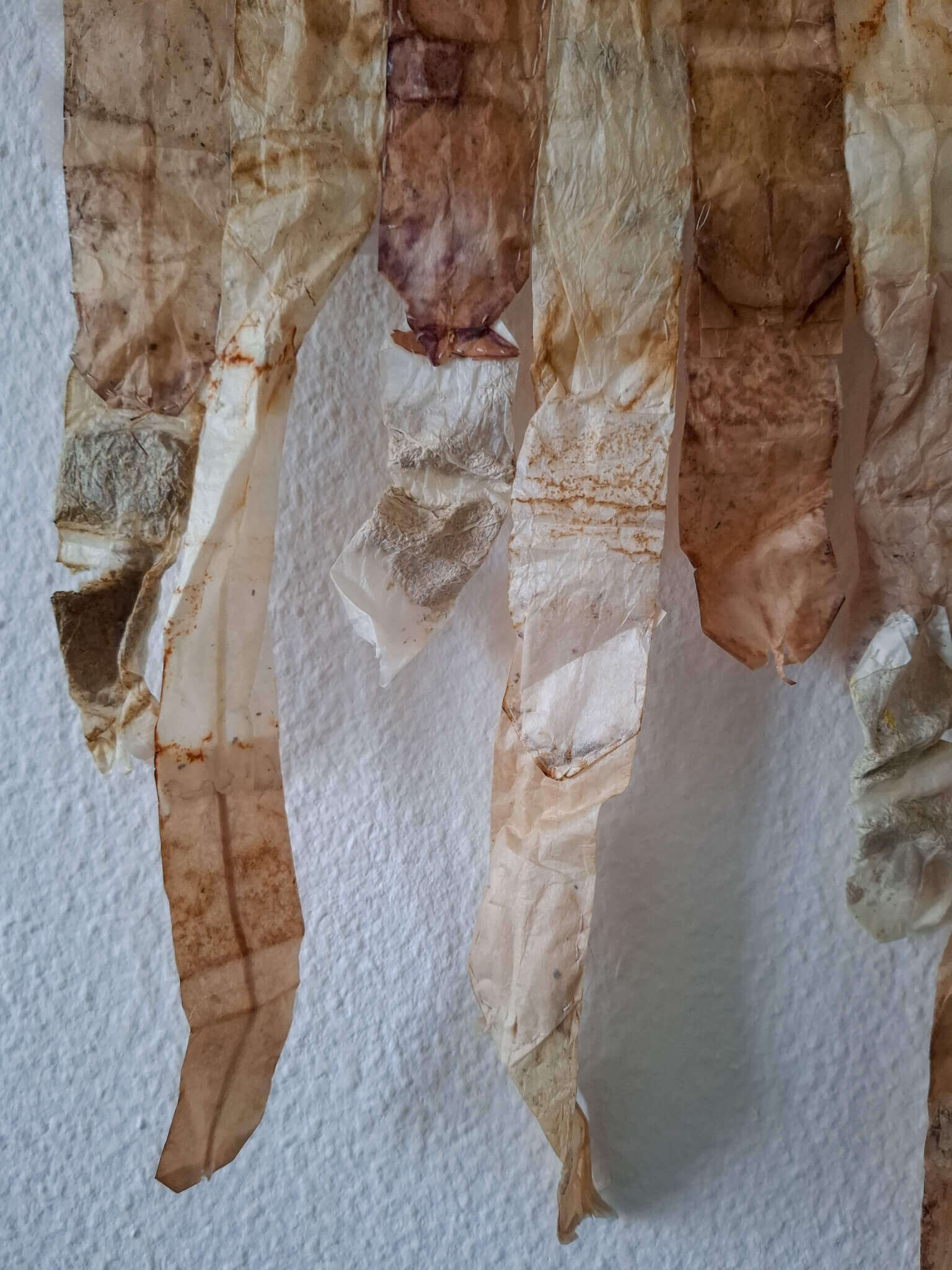 Curtain - Sofia Antoniadou 4