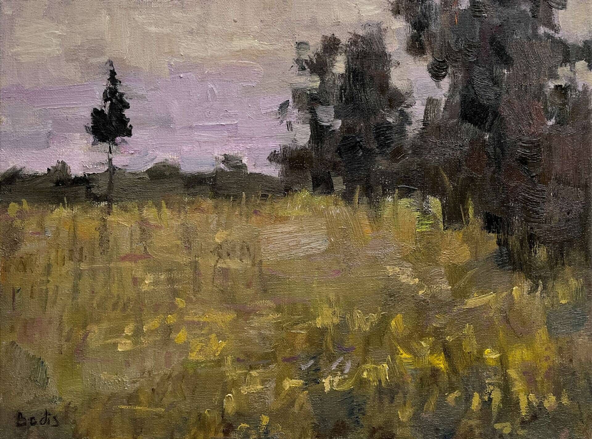 Warm evening - Bohdan  Dobrivskyi  1