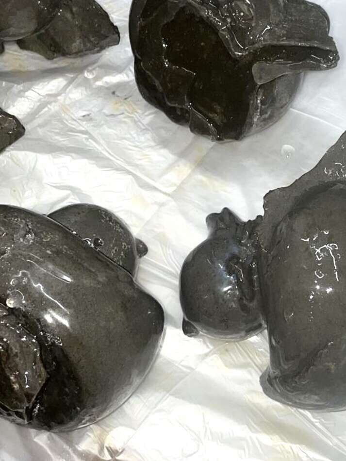 Finding Gloss in the Dryness They Know (2026) - Terryfied Club 7