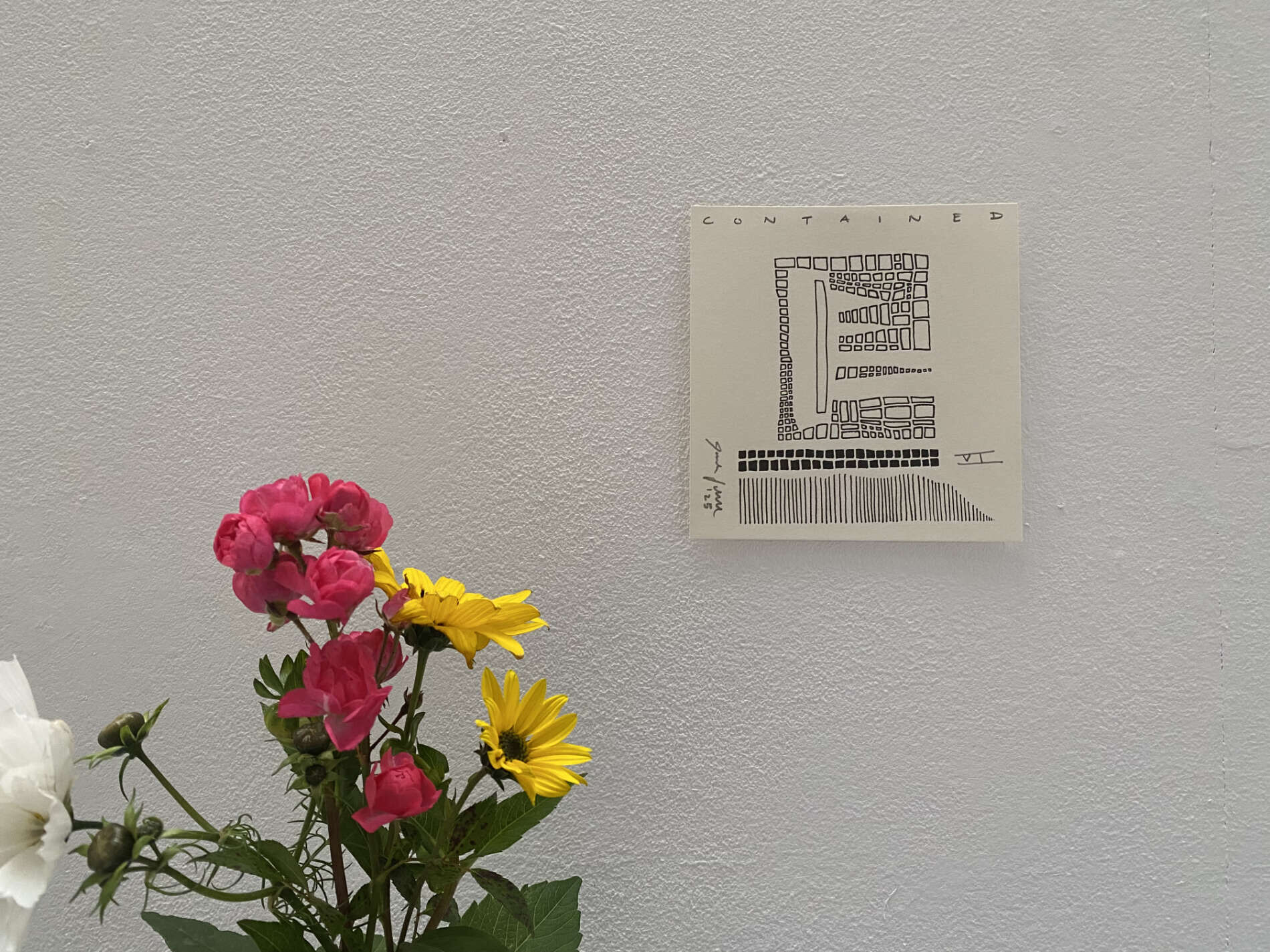 CONTAINED VI - Paula-Maryla Schmoll 1