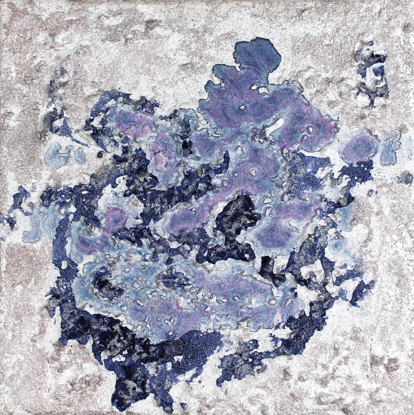 Antarktis - Kira Schmitt 1