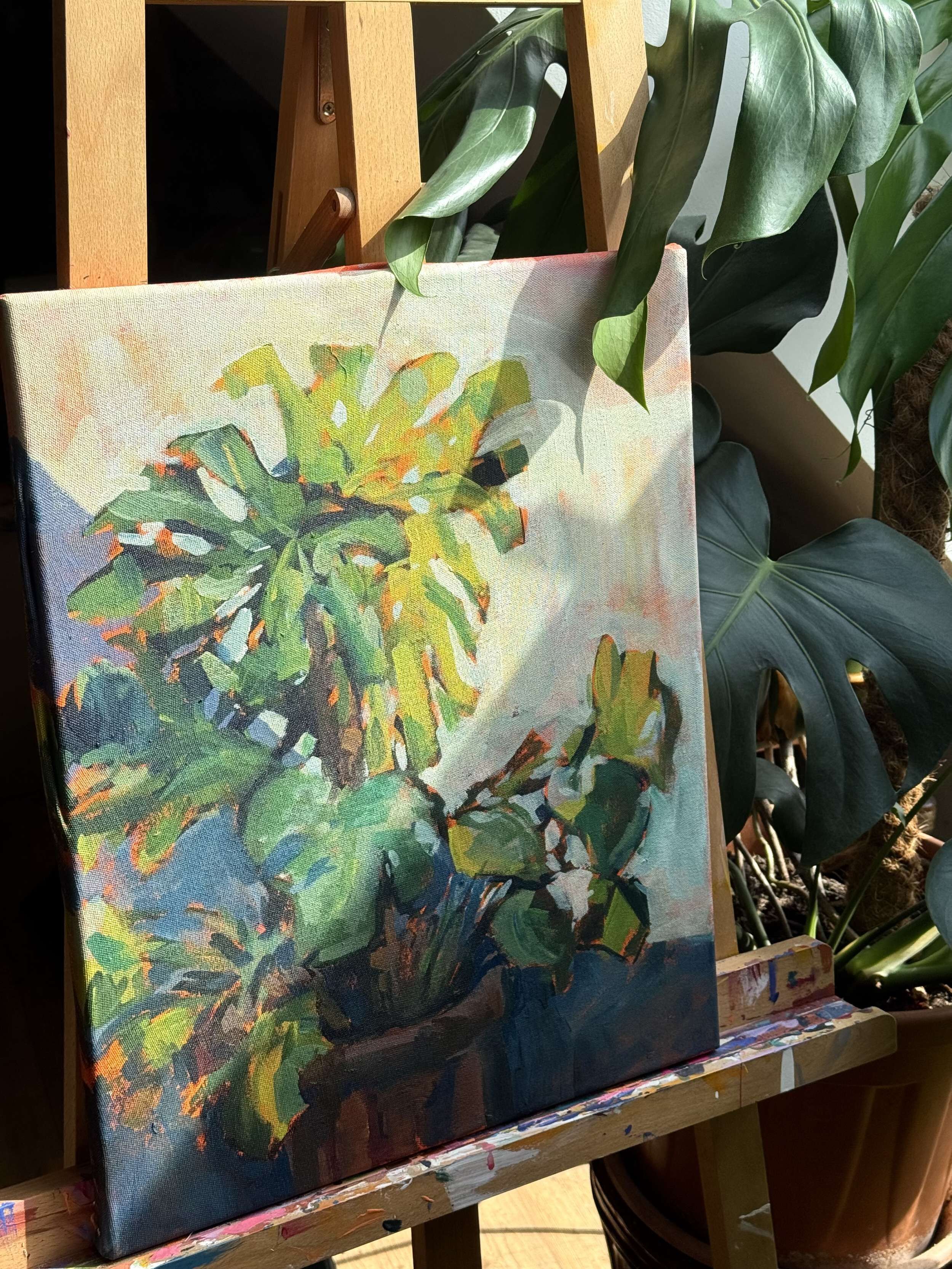 Ateliermonstera - Daniel Heimgärtner 2