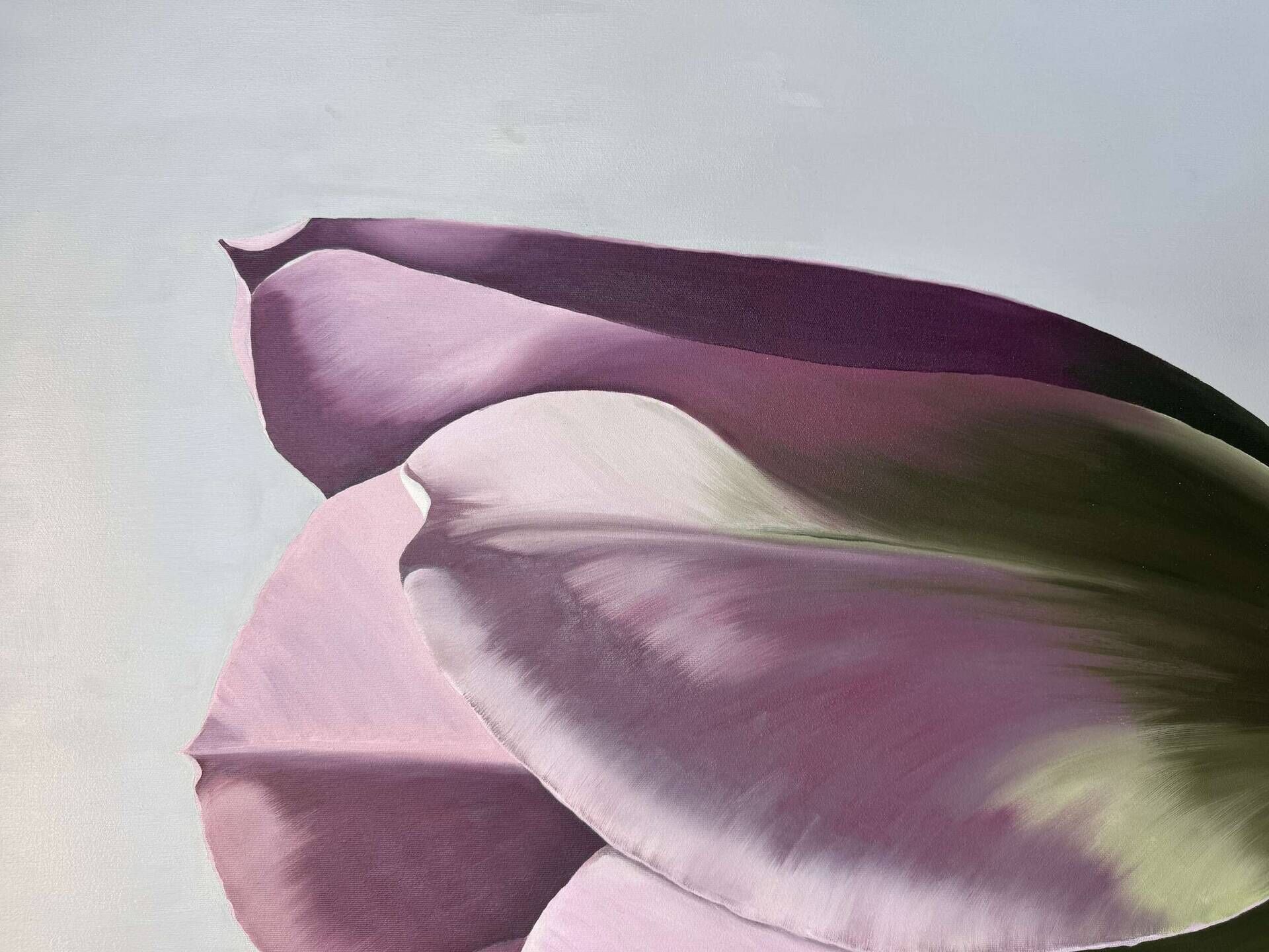 Tulpe - Julia Oleinicenko 3