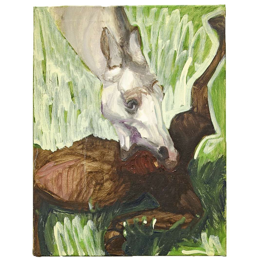 Stute frisst Fohlen - Amelie Luca Staudhammer 1