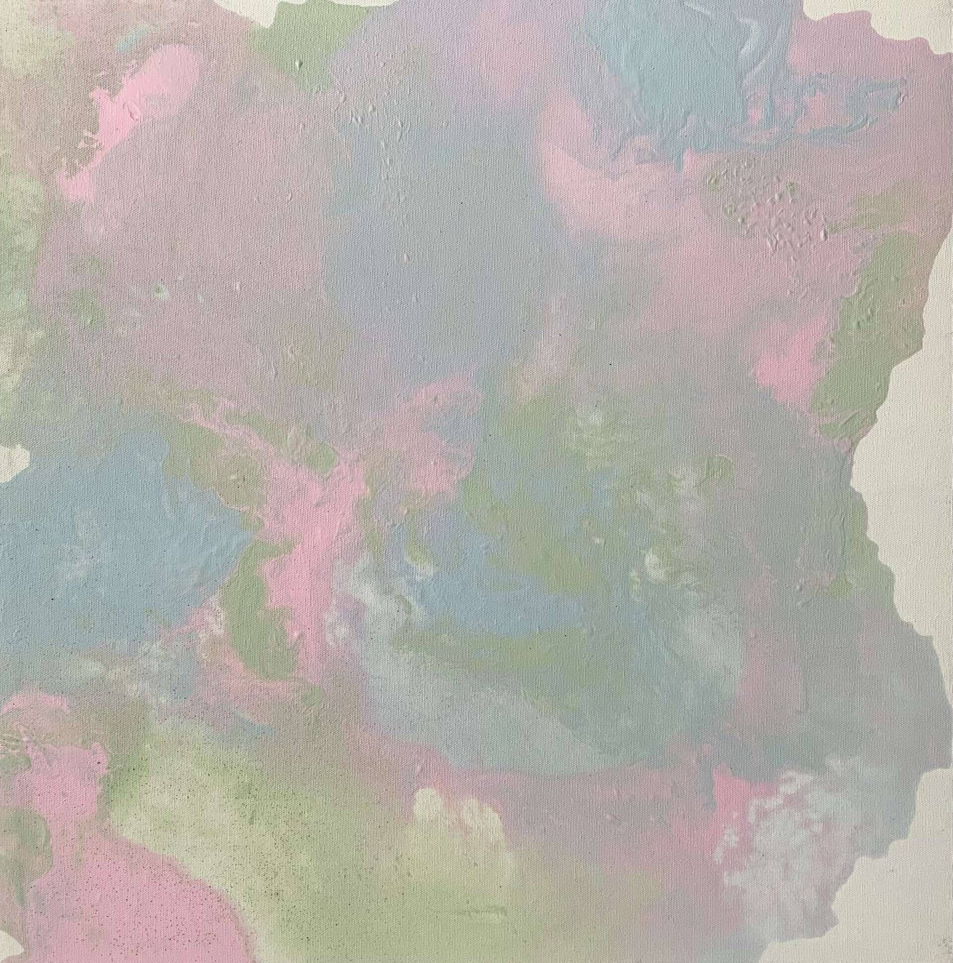 Morning haze  - Julienne  Dumrese 1