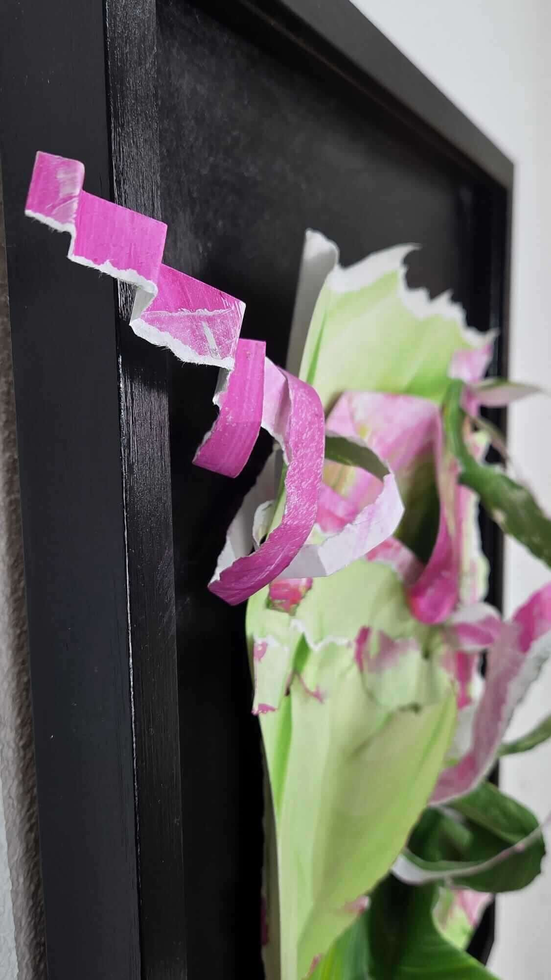 Opera 1-1025B - Vesna  Faiazza  6