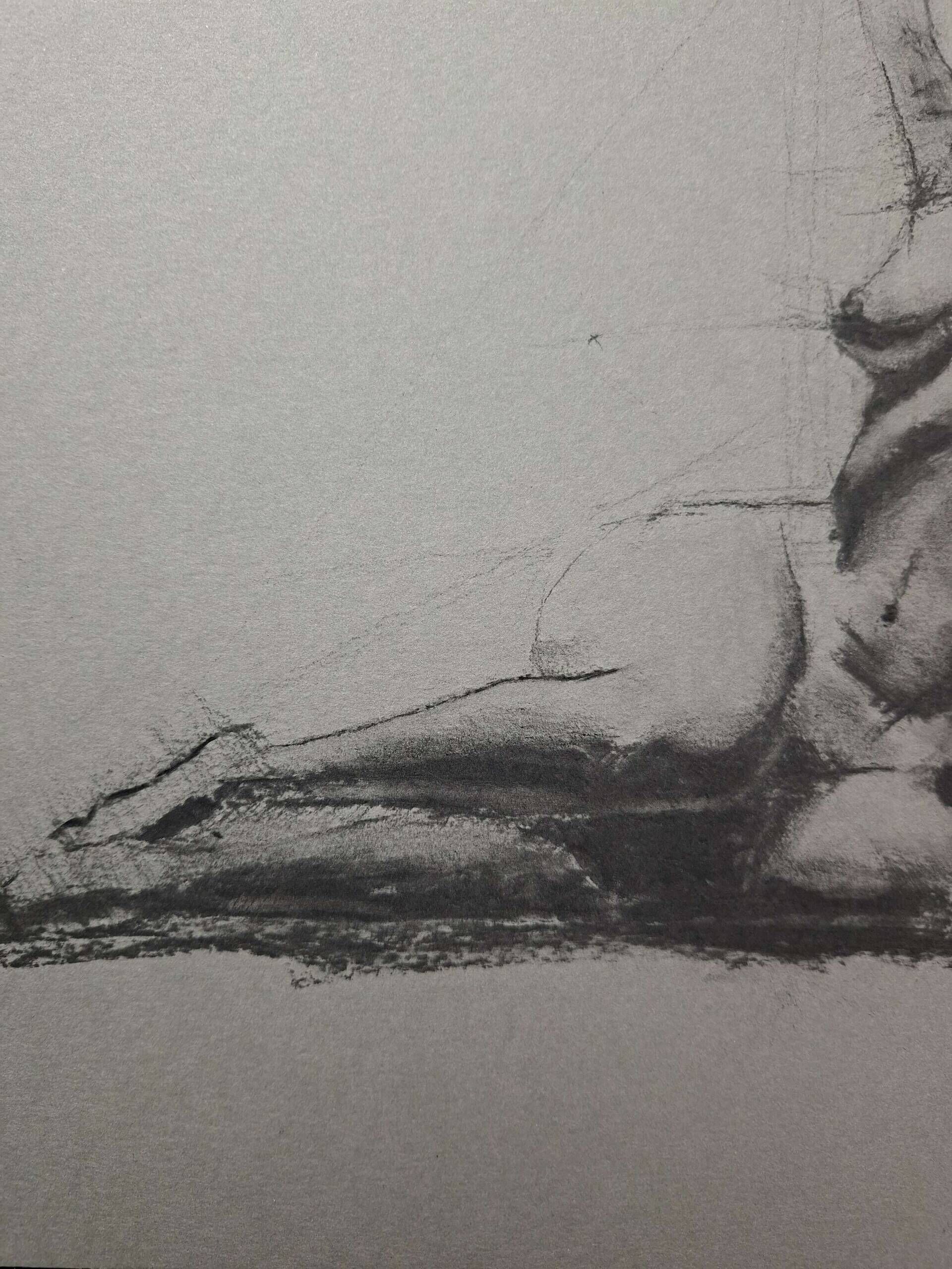 Charcoal#88 - Paul Schäfer 3