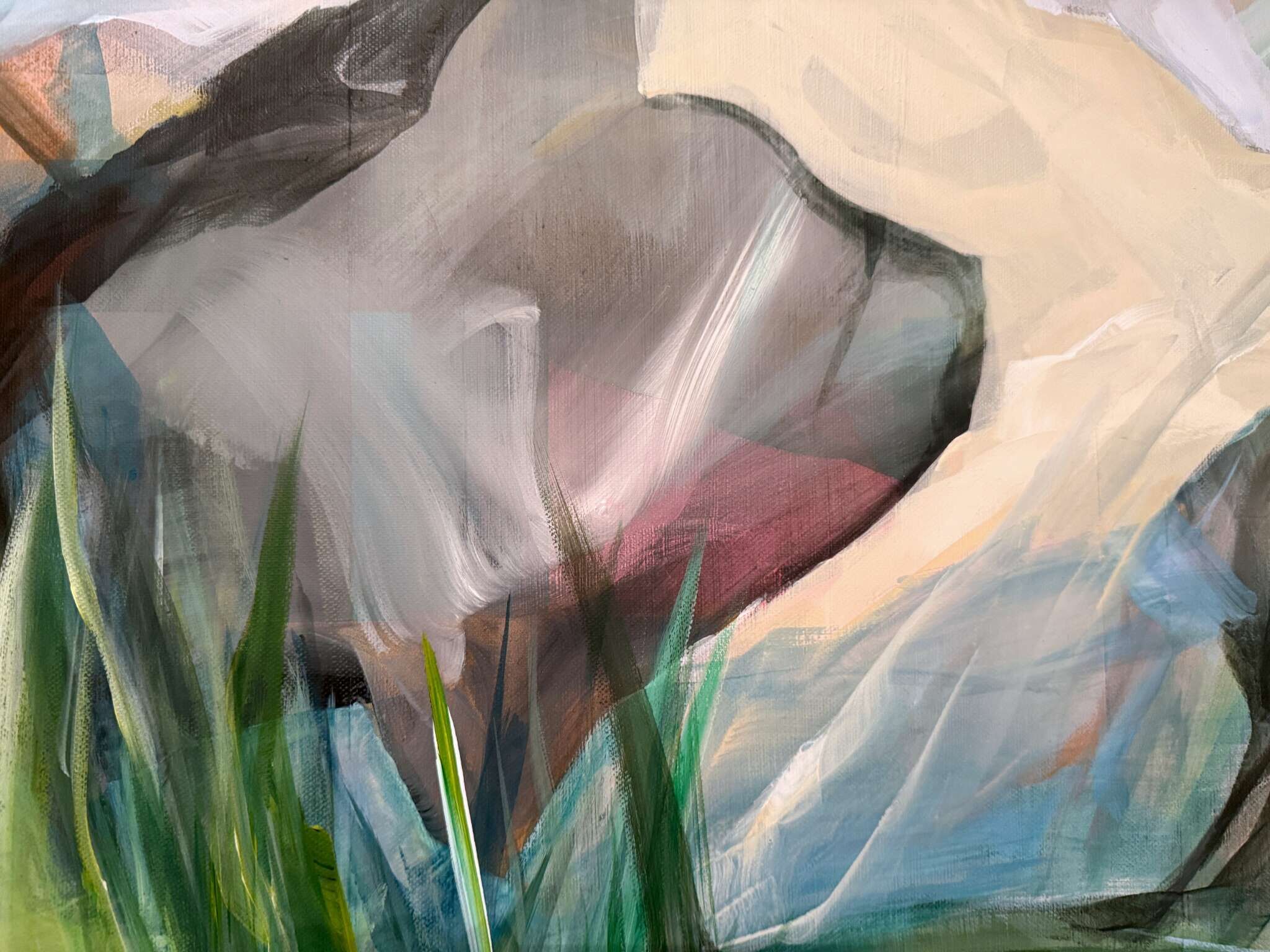 Flora NL 26-05293 - Brigitte Puschmann 2