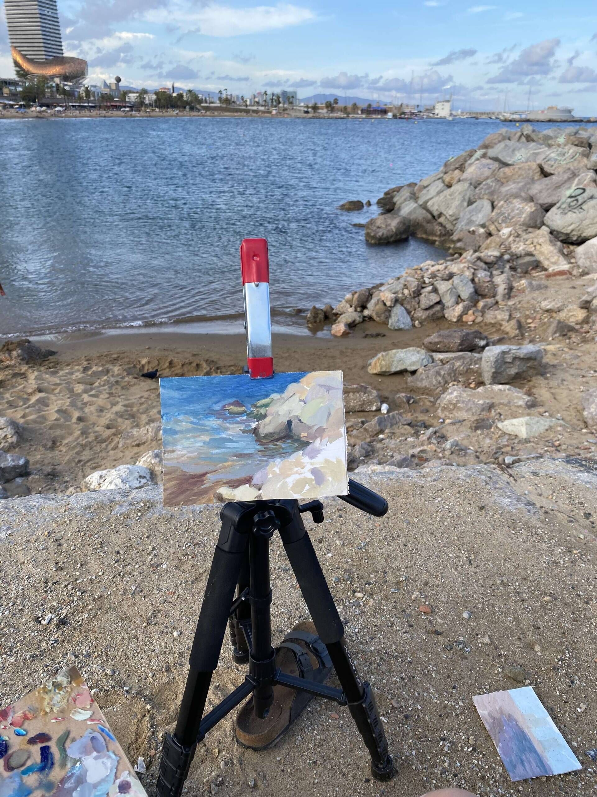 Landschaft eines Riffs in Barcelona. - Daniella Santos 2