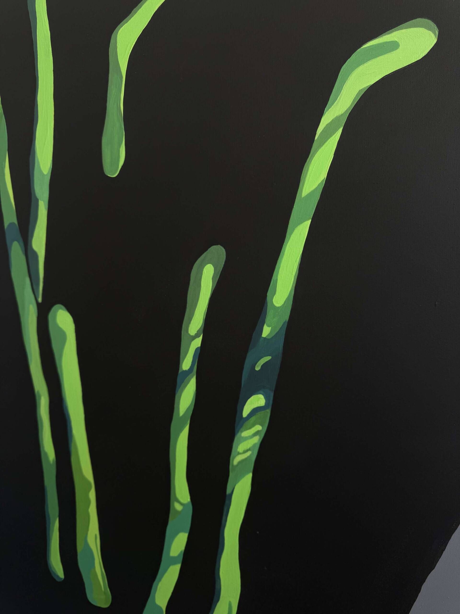 Abgelöste Rhizome - Cong Cong 4