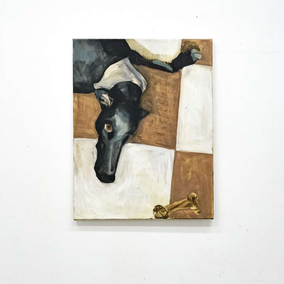 Ein Hund auf dem Küchenboden - Amelie Luca Staudhammer 2
