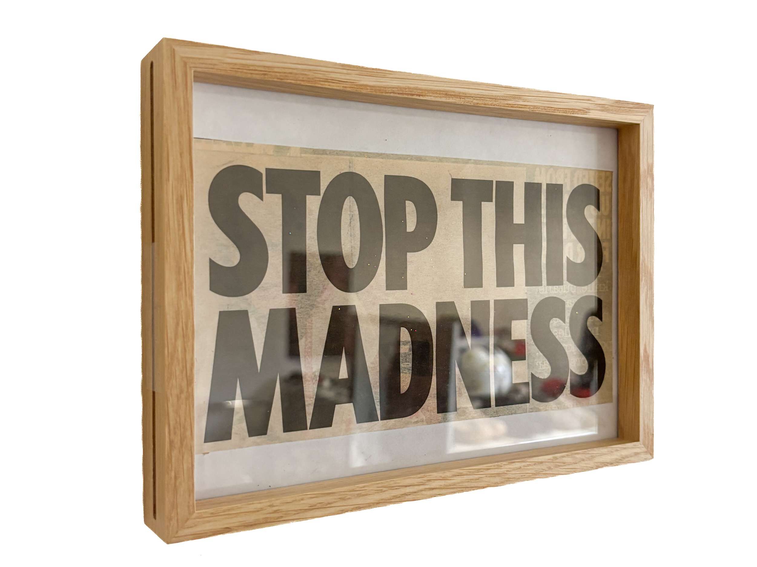Stop this Madness - Lenny Renz 2