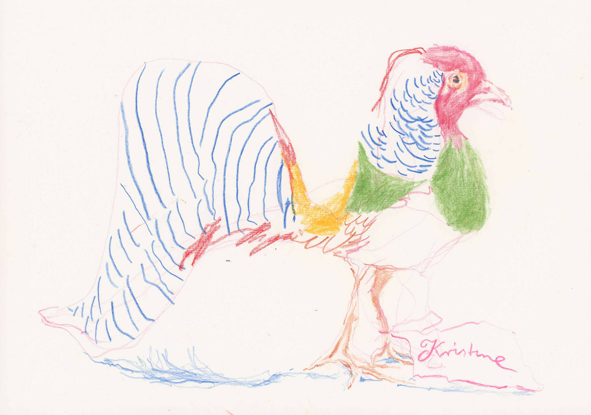 Vogel Croquis II - Lukas Häring 1