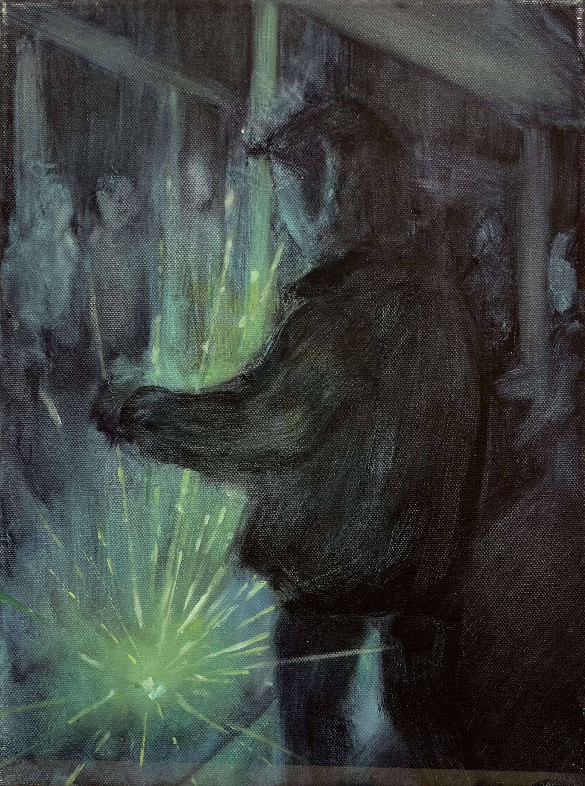 Dachbodenlasertanz - Nathanael Uhlig 1